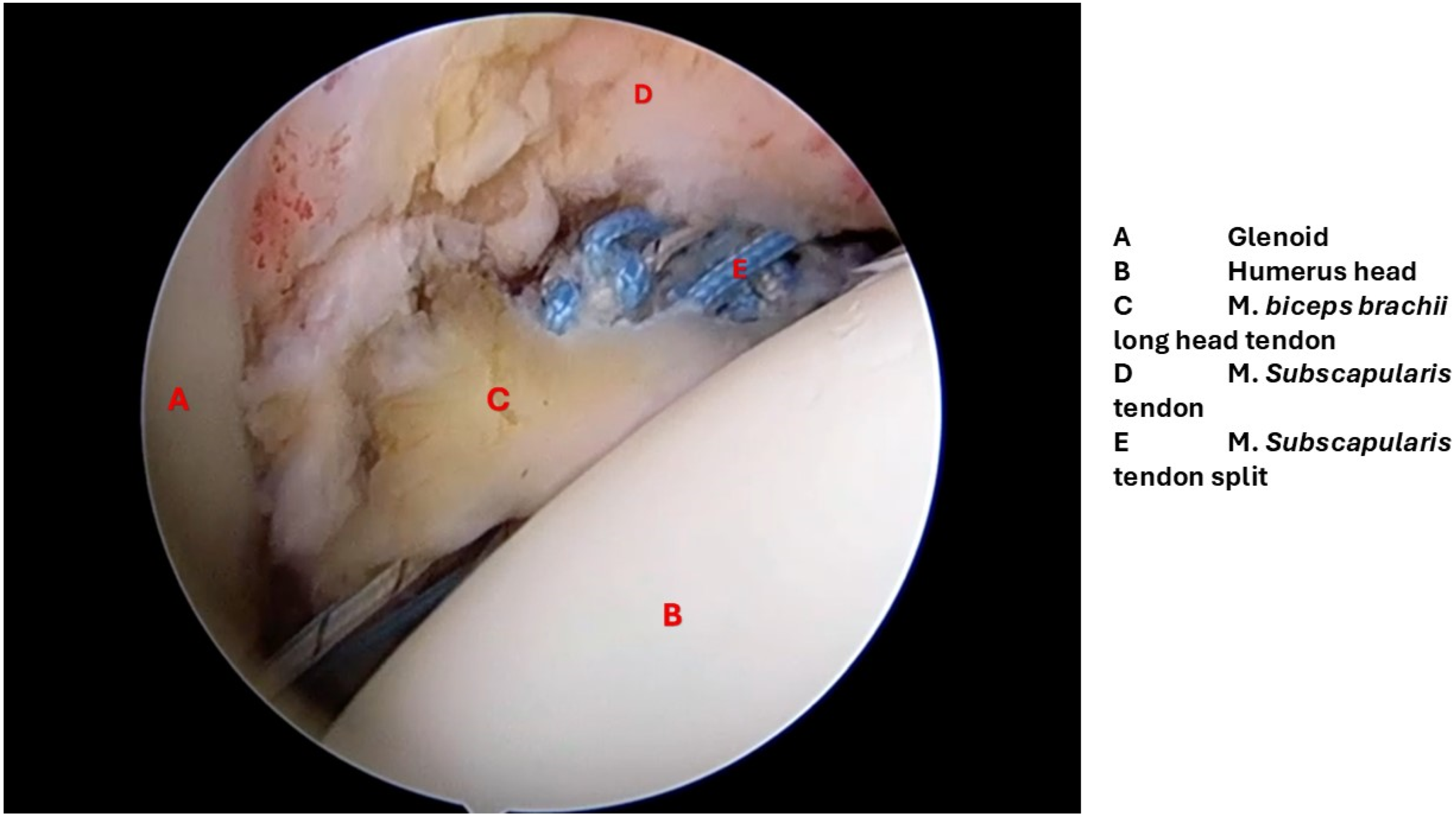 Diagnostics 15 03203 g002 Diagnostics 15 03203 g002