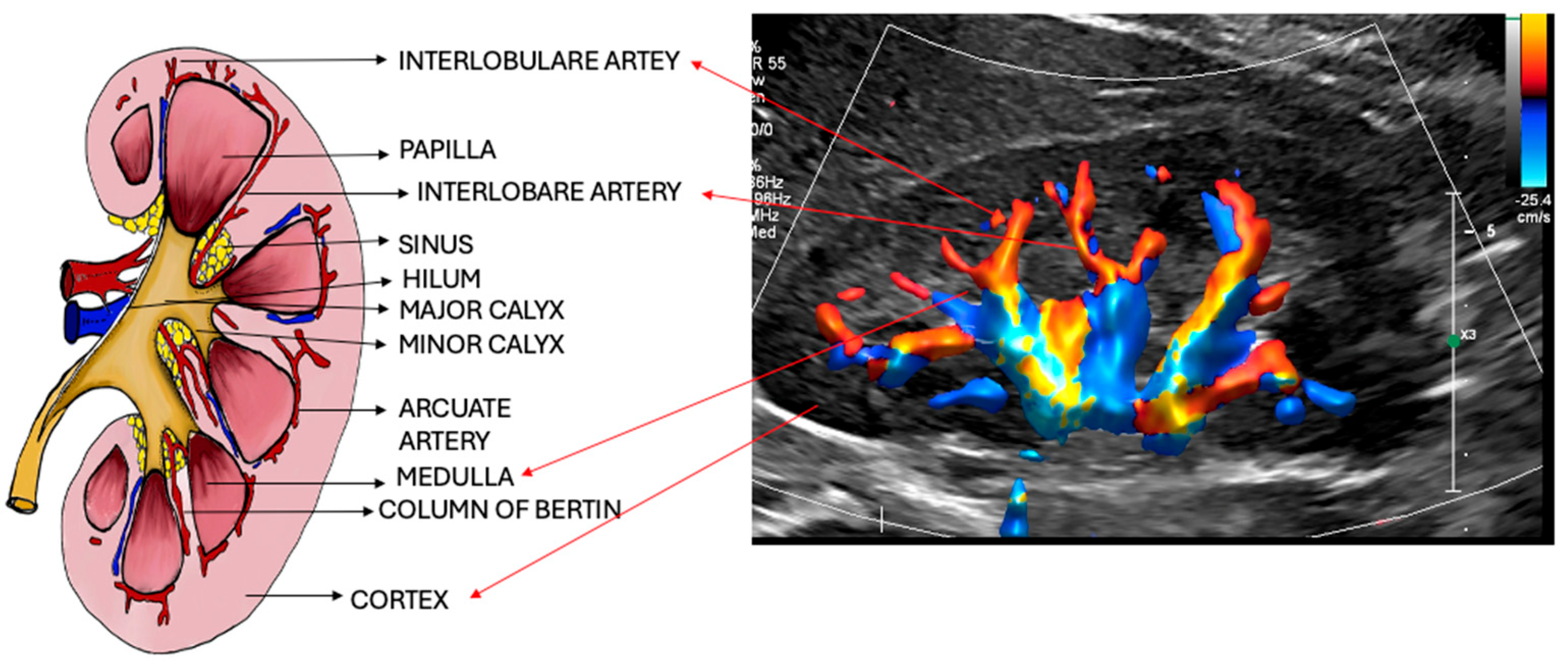 Diagnostics 15 03208 g003 Diagnostics 15 03208 g003
