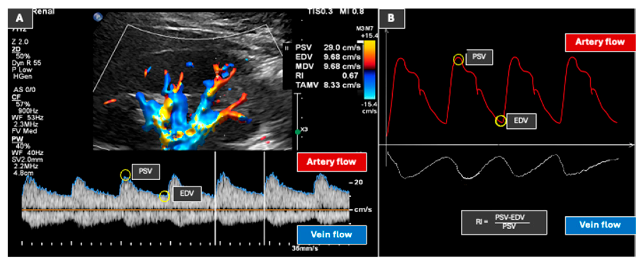 Diagnostics 15 03208 g007 Diagnostics 15 03208 g007