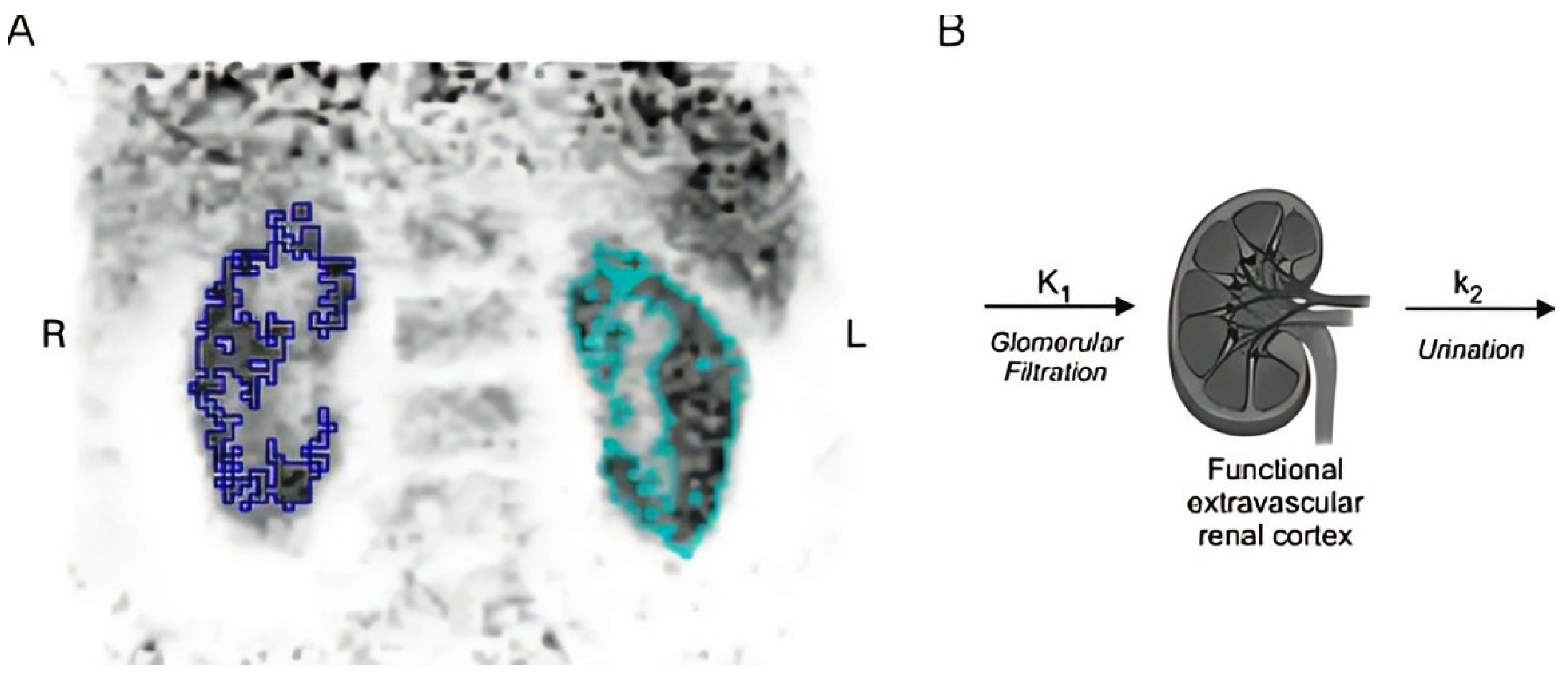 Diagnostics 15 03209 g004 Diagnostics 15 03209 g004