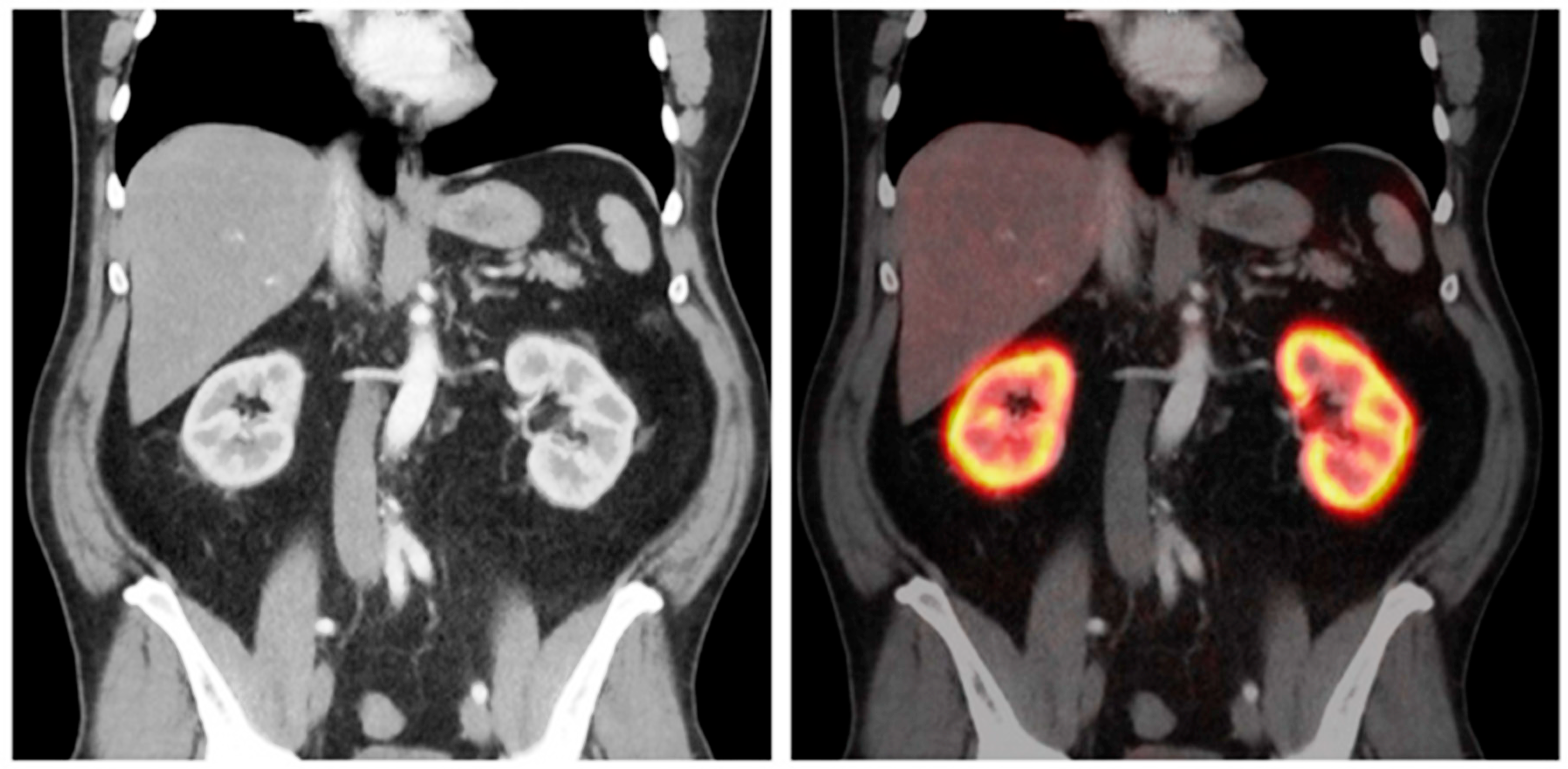 Diagnostics 15 03209 g006 Diagnostics 15 03209 g006