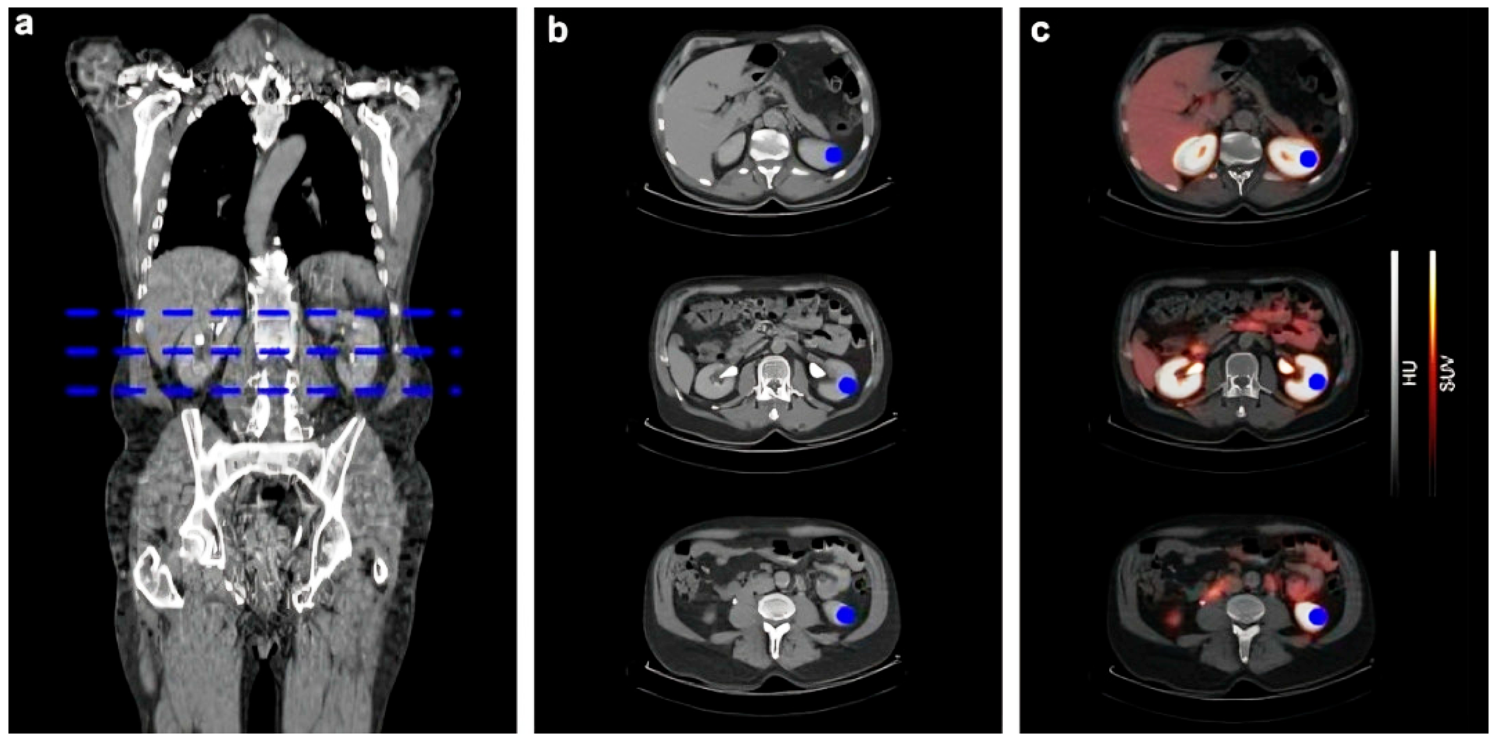 Diagnostics 15 03209 g009 Diagnostics 15 03209 g009