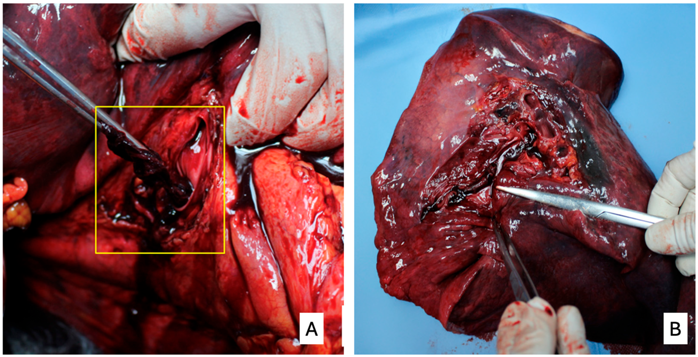Diagnostics 15 03211 g001