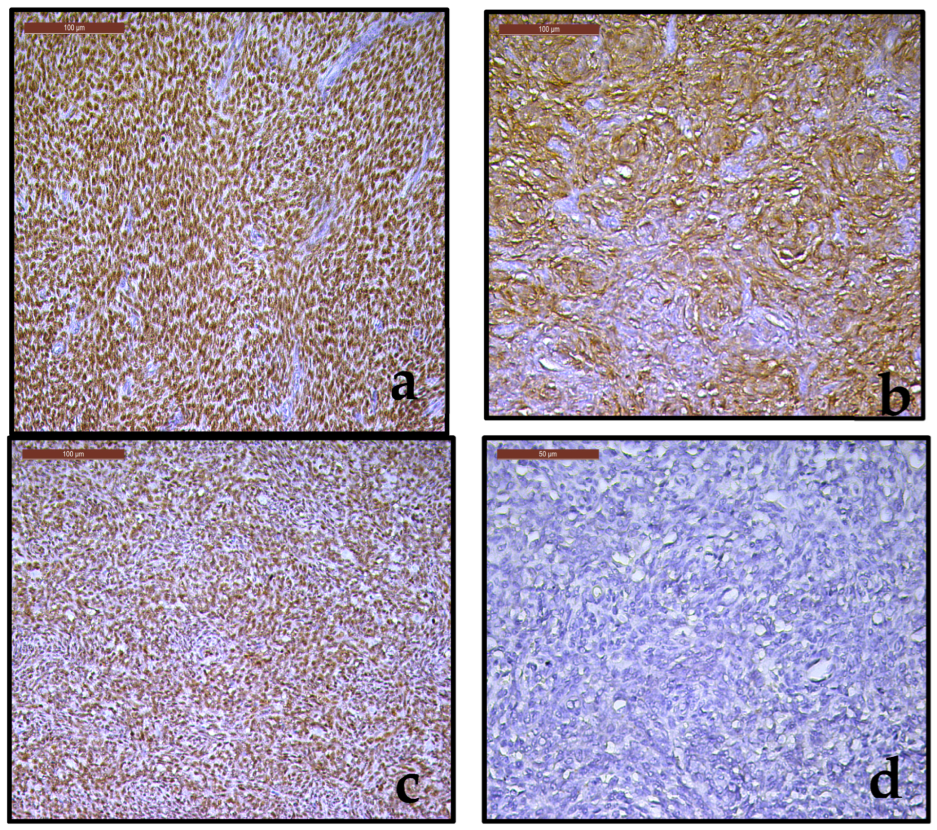 Diagnostics 15 03215 g005 Diagnostics 15 03215 g005