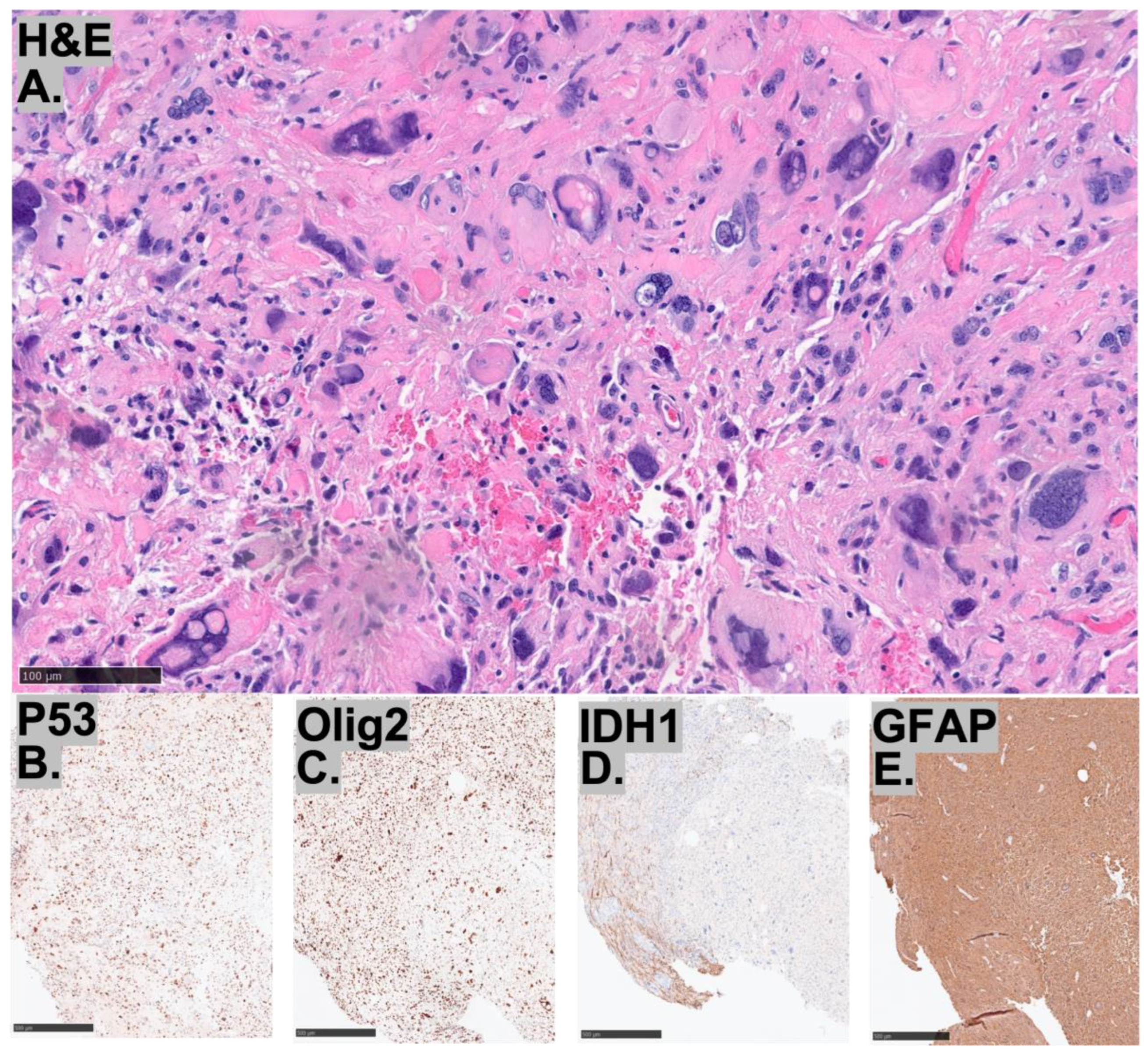 Diagnostics 15 03225 g002 Diagnostics 15 03225 g002