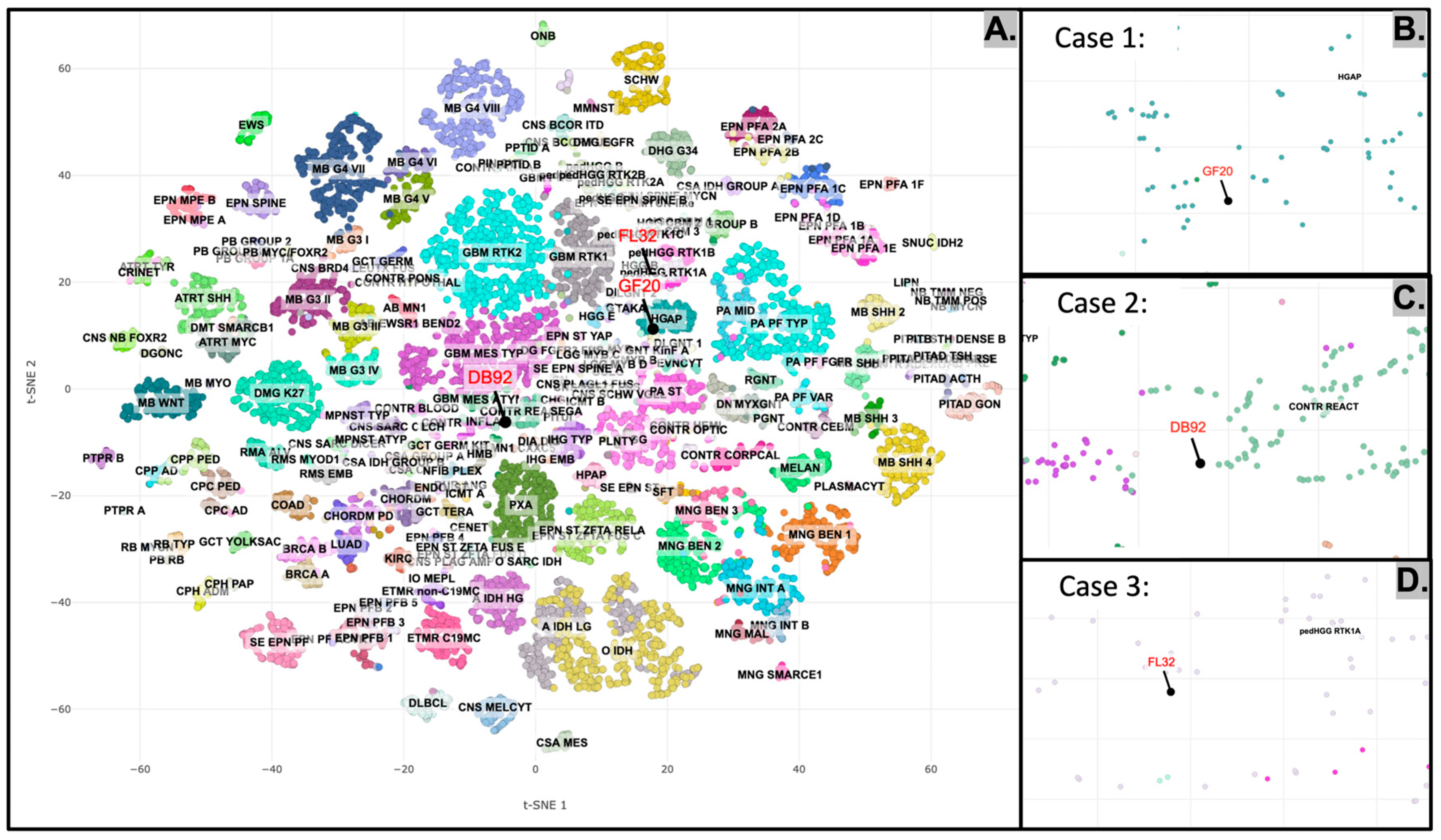 Diagnostics 15 03225 g005 Diagnostics 15 03225 g005