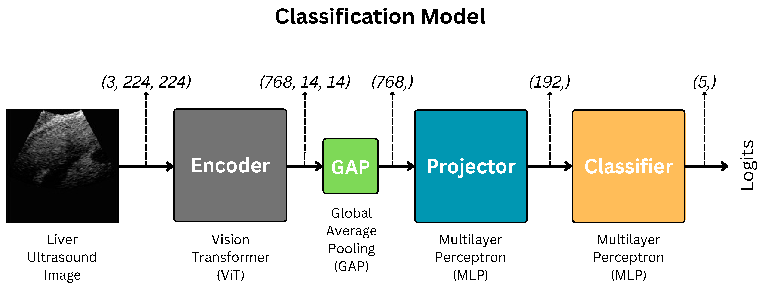 Diagnostics 15 03226 g001 Diagnostics 15 03226 g001