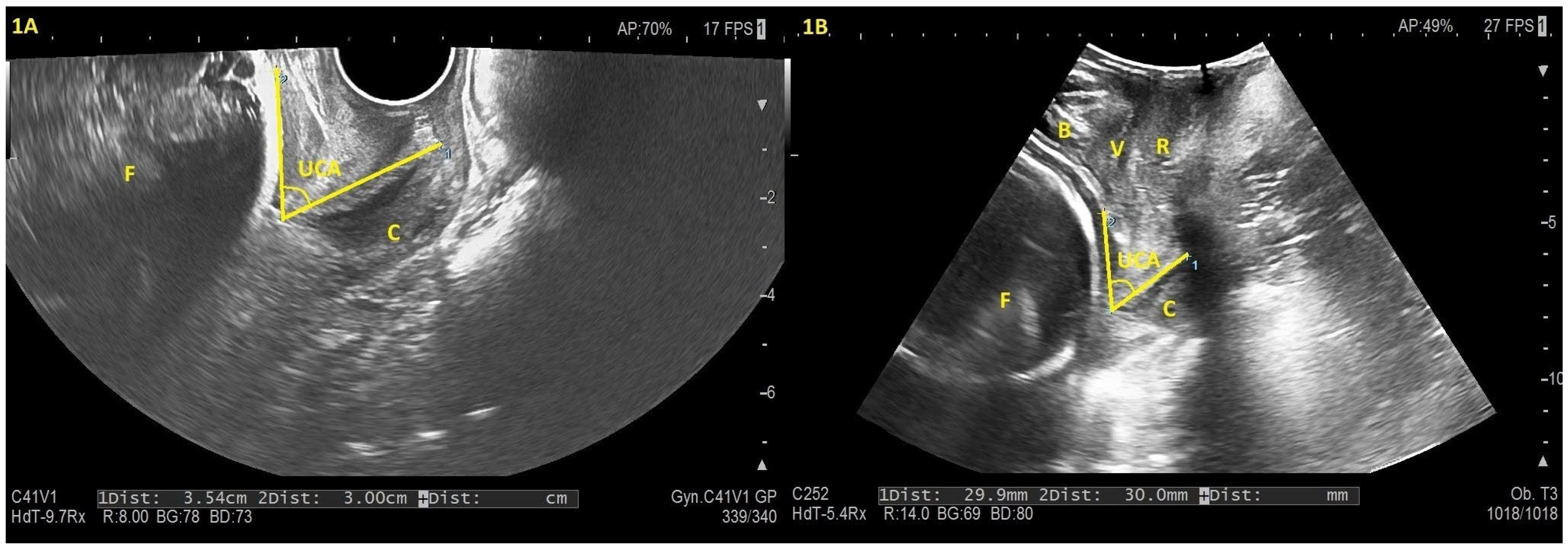 Diagnostics 15 03232 g001