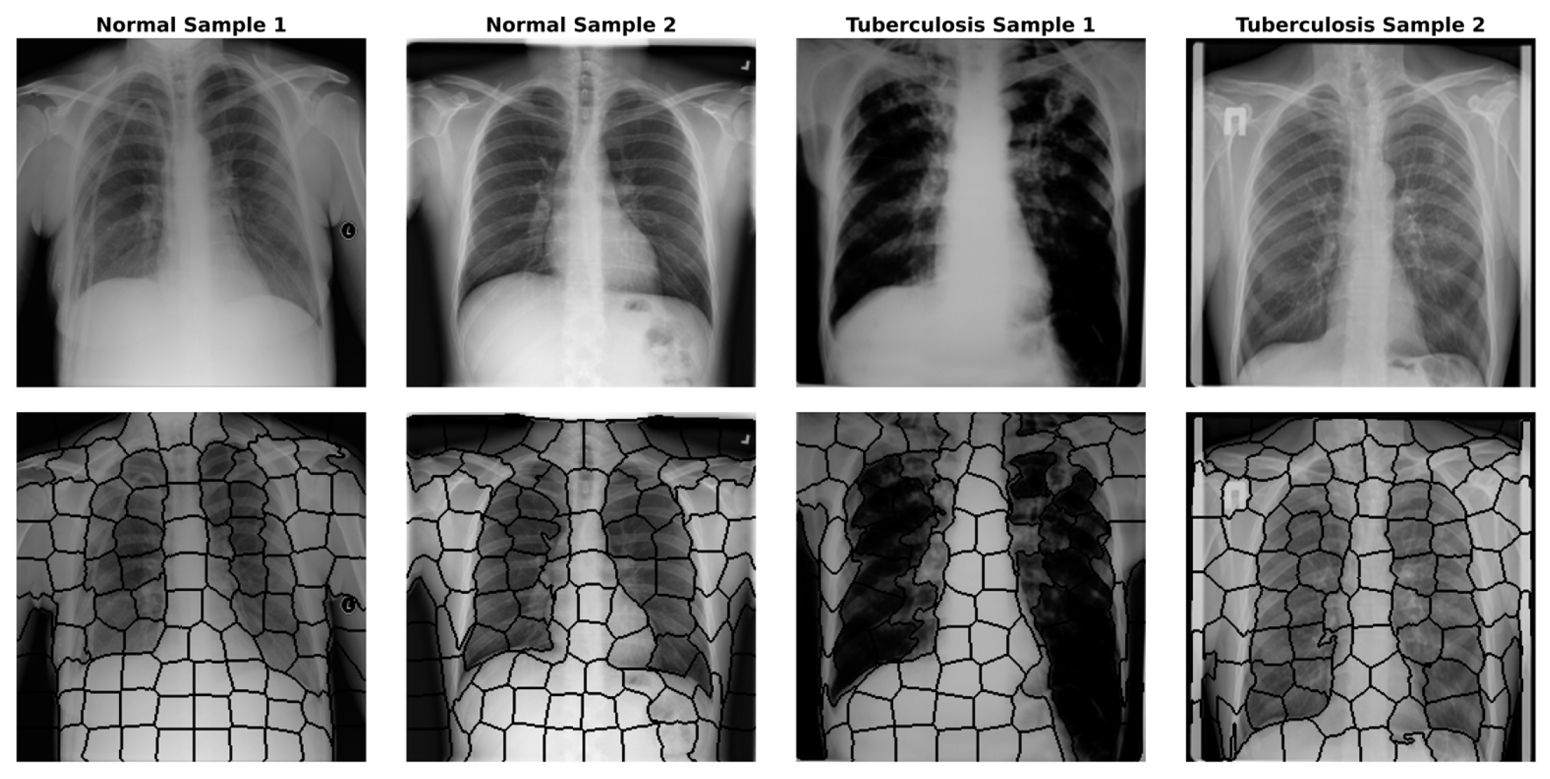 Diagnostics 15 03236 g002