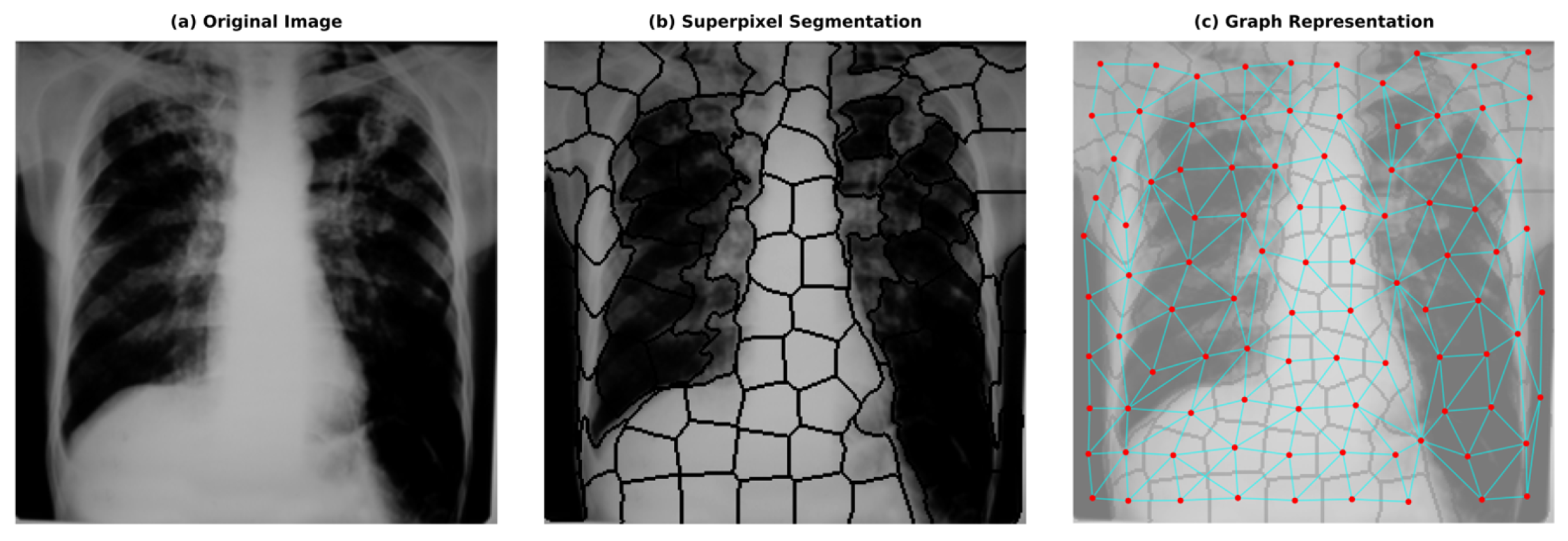 Diagnostics 15 03236 g003
