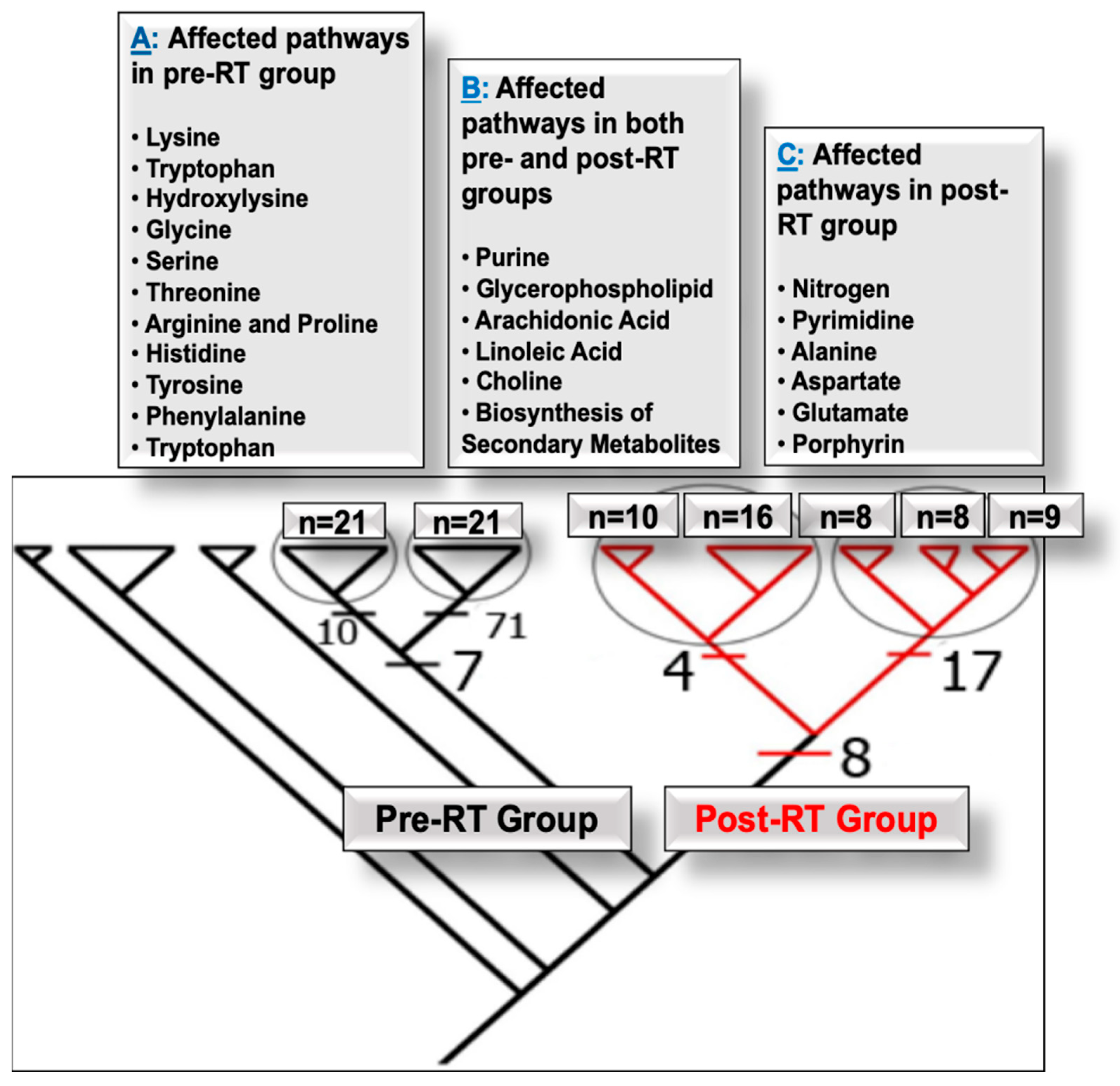 Diagnostics 15 03242 g001 Diagnostics 15 03242 g001