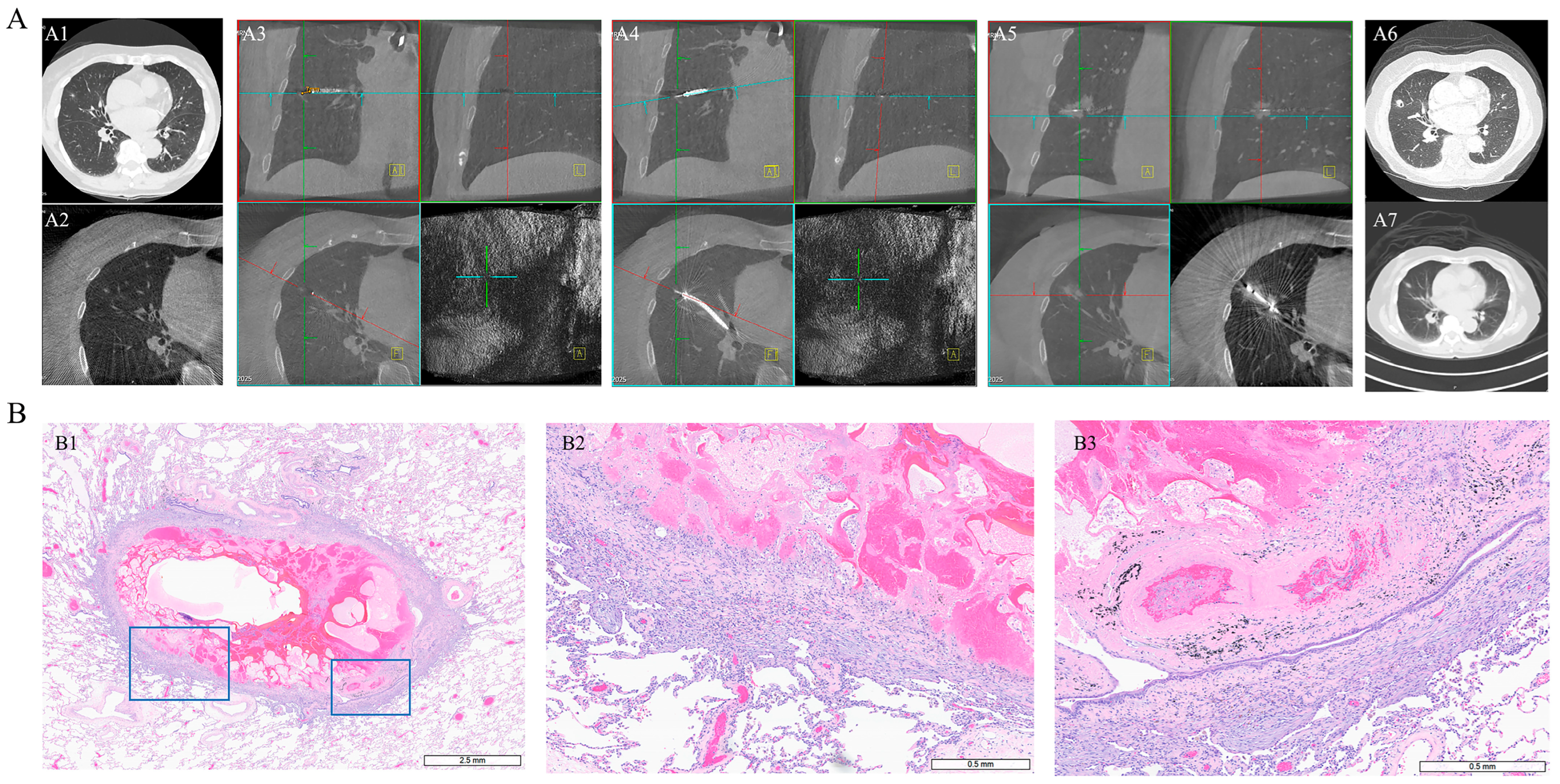 Diagnostics 15 03248 g004