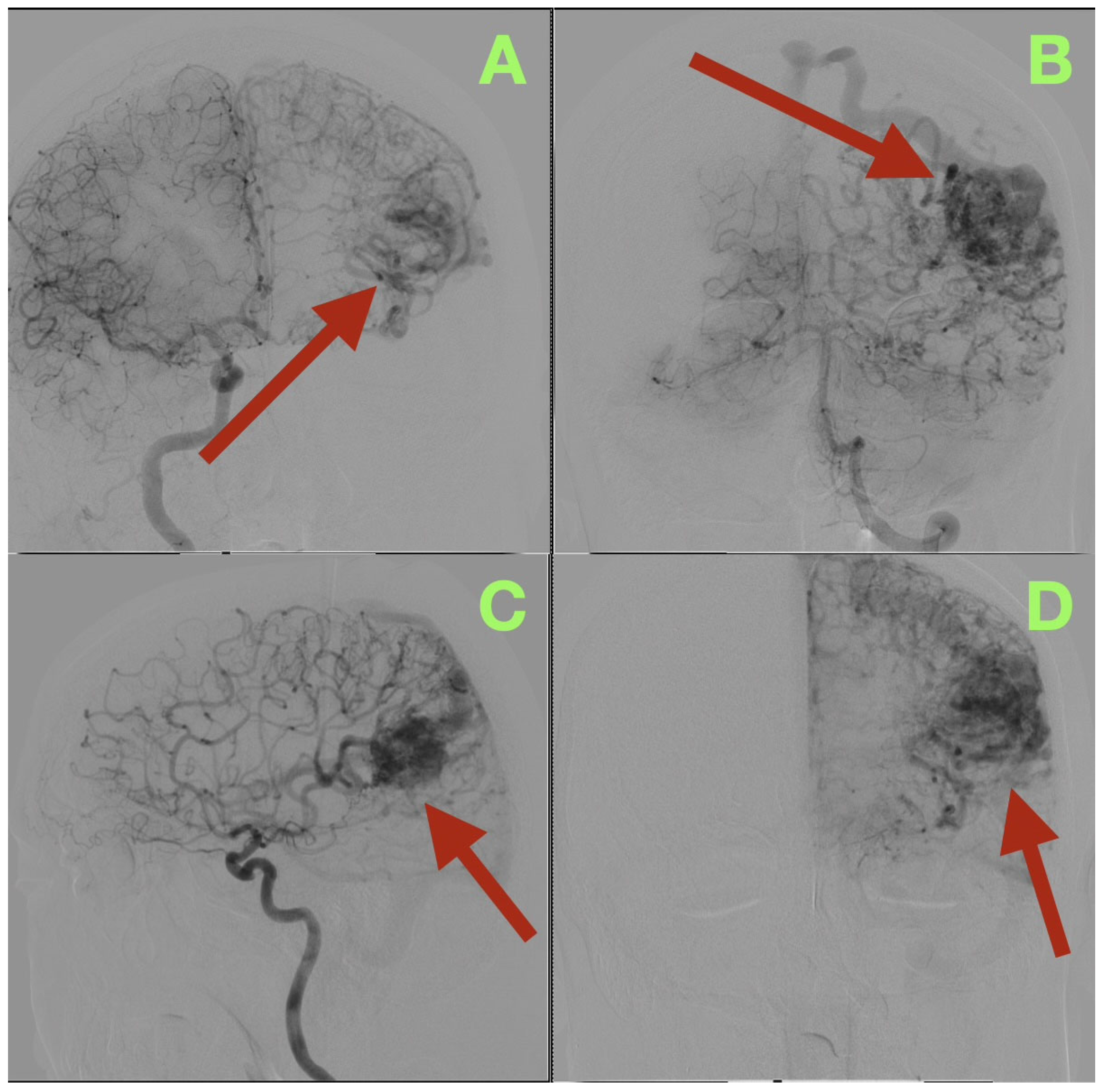 Diagnostics 15 03249 g001