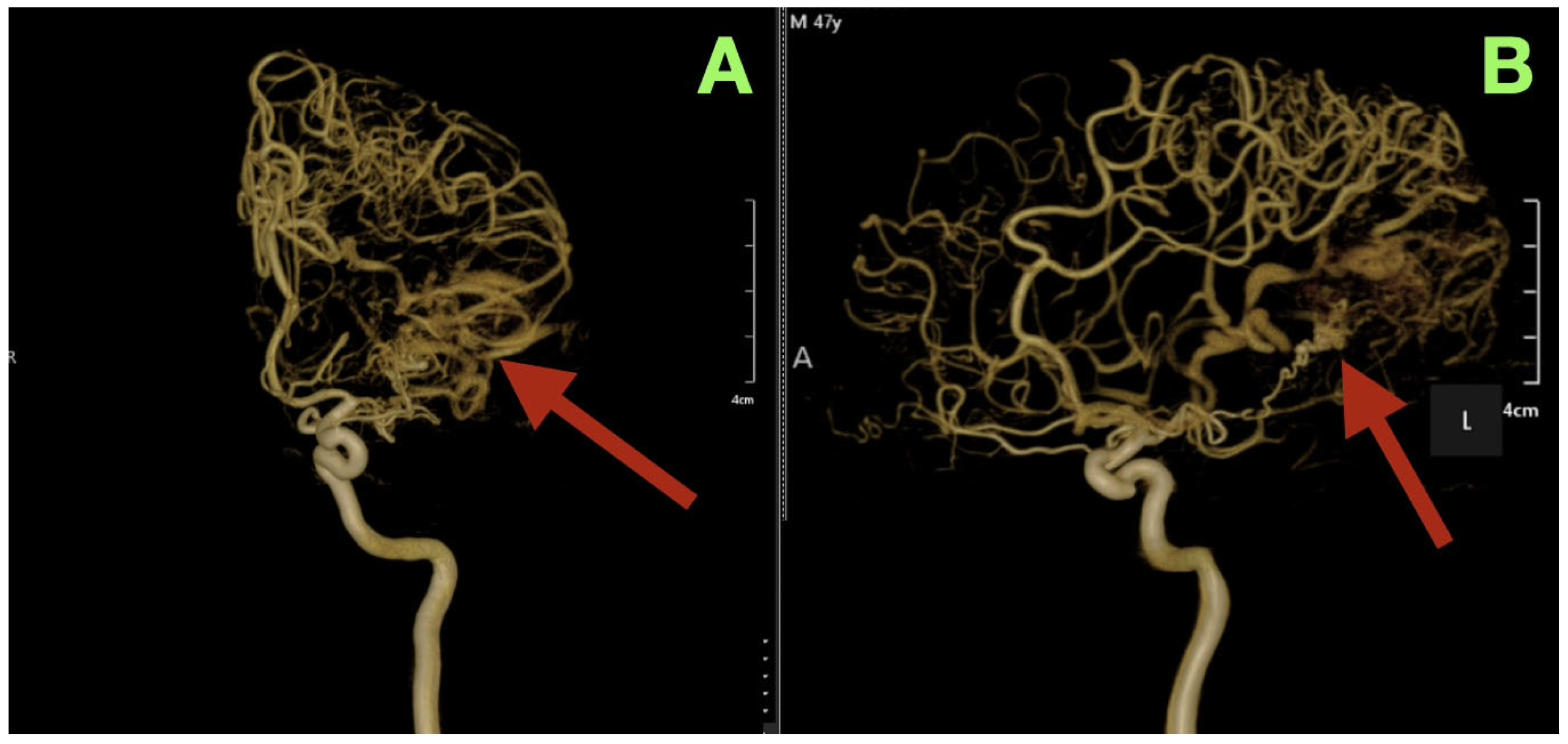 Diagnostics 15 03249 g002