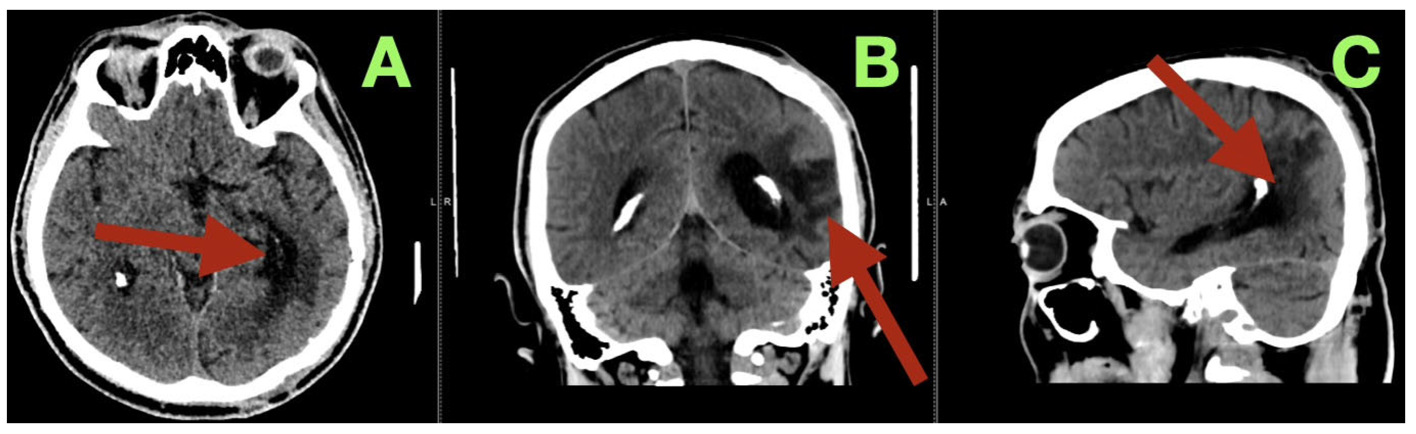 Diagnostics 15 03249 g004