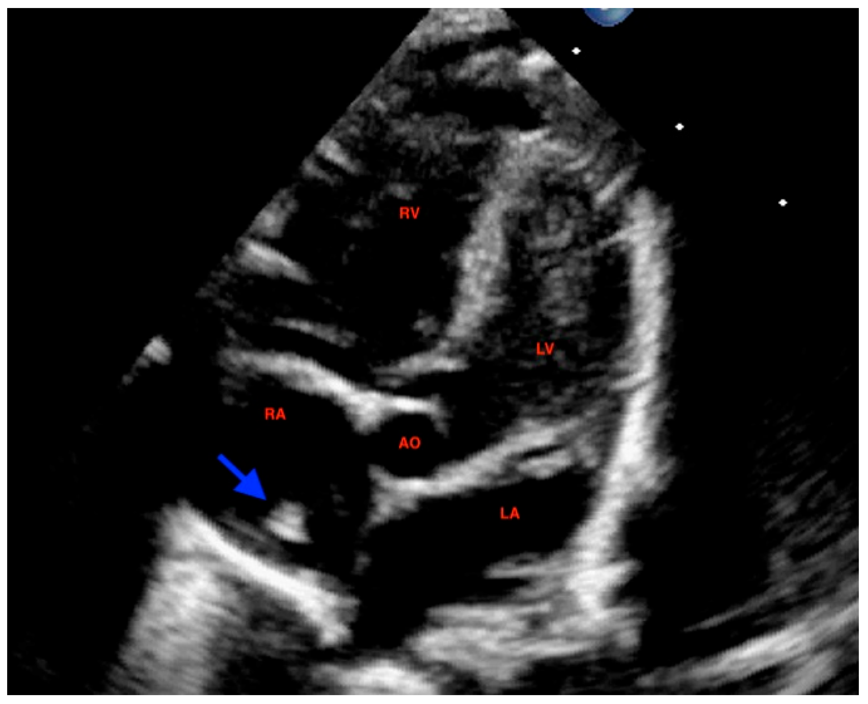 Diagnostics 16 00017 g003
