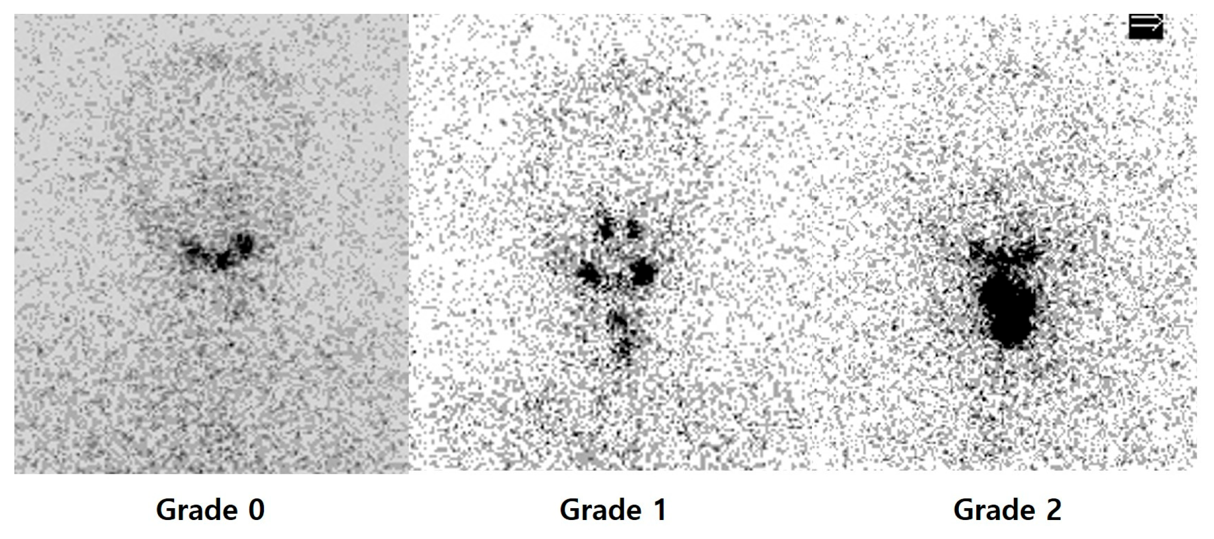 Diagnostics 16 00019 g001