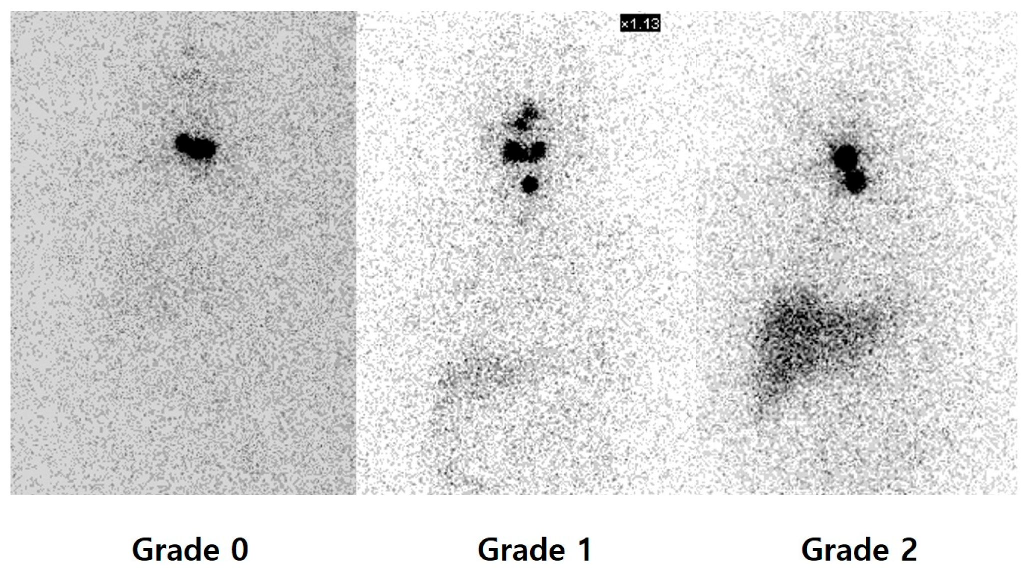 Diagnostics 16 00019 g002