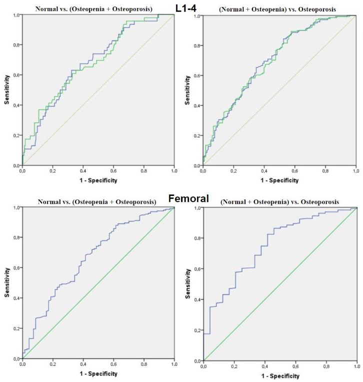 Diagnostics 16 00029 g004