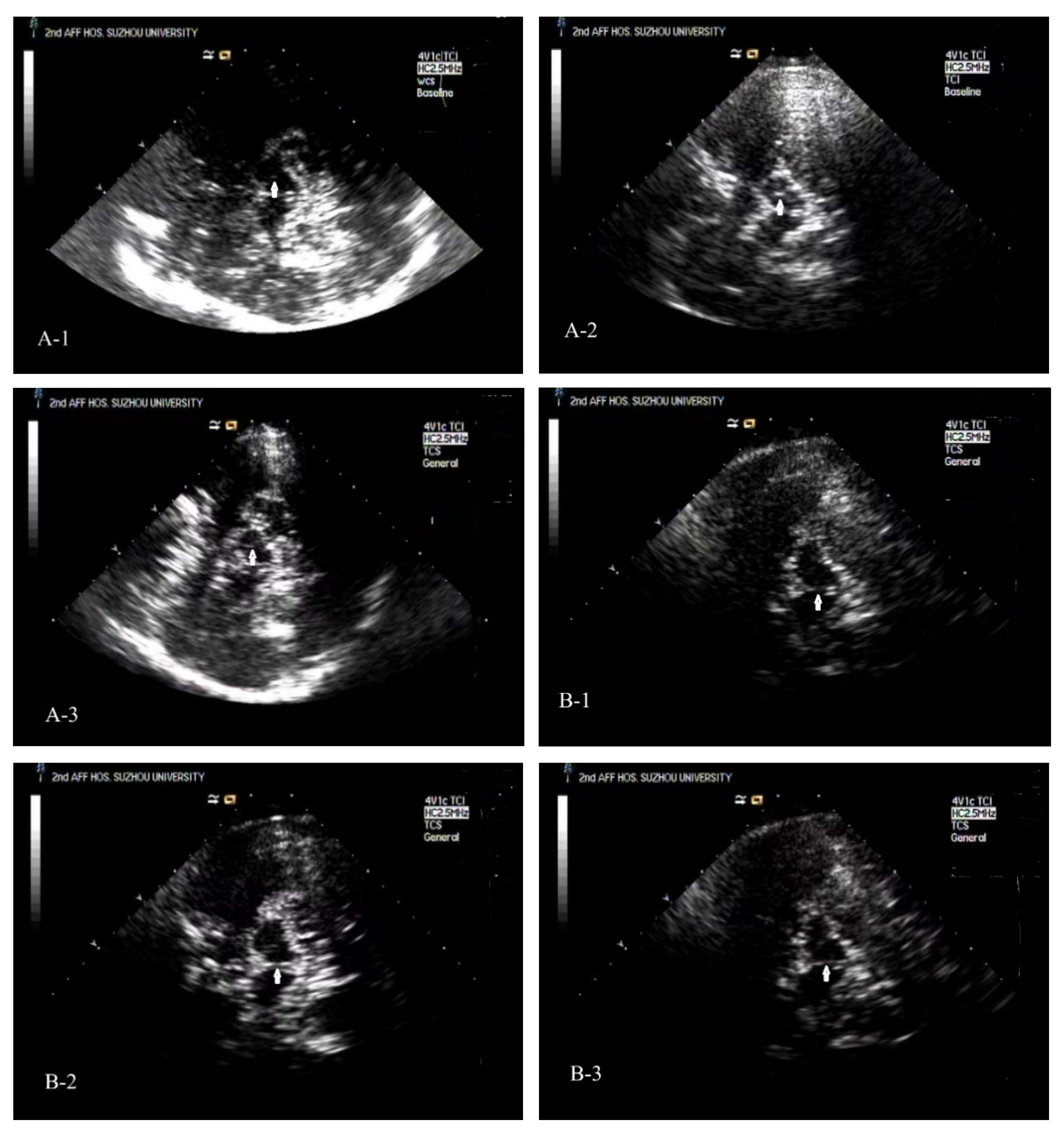 Diagnostics 16 00041 g002