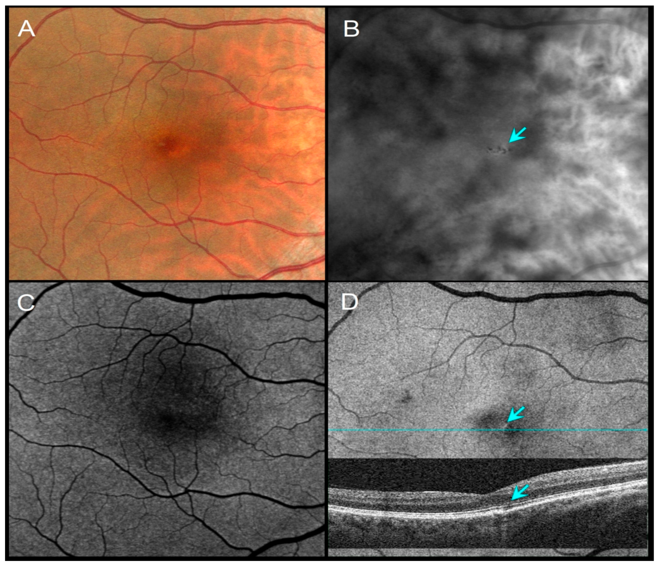 Diagnostics 16 00042 g001 Diagnostics 16 00042 g001