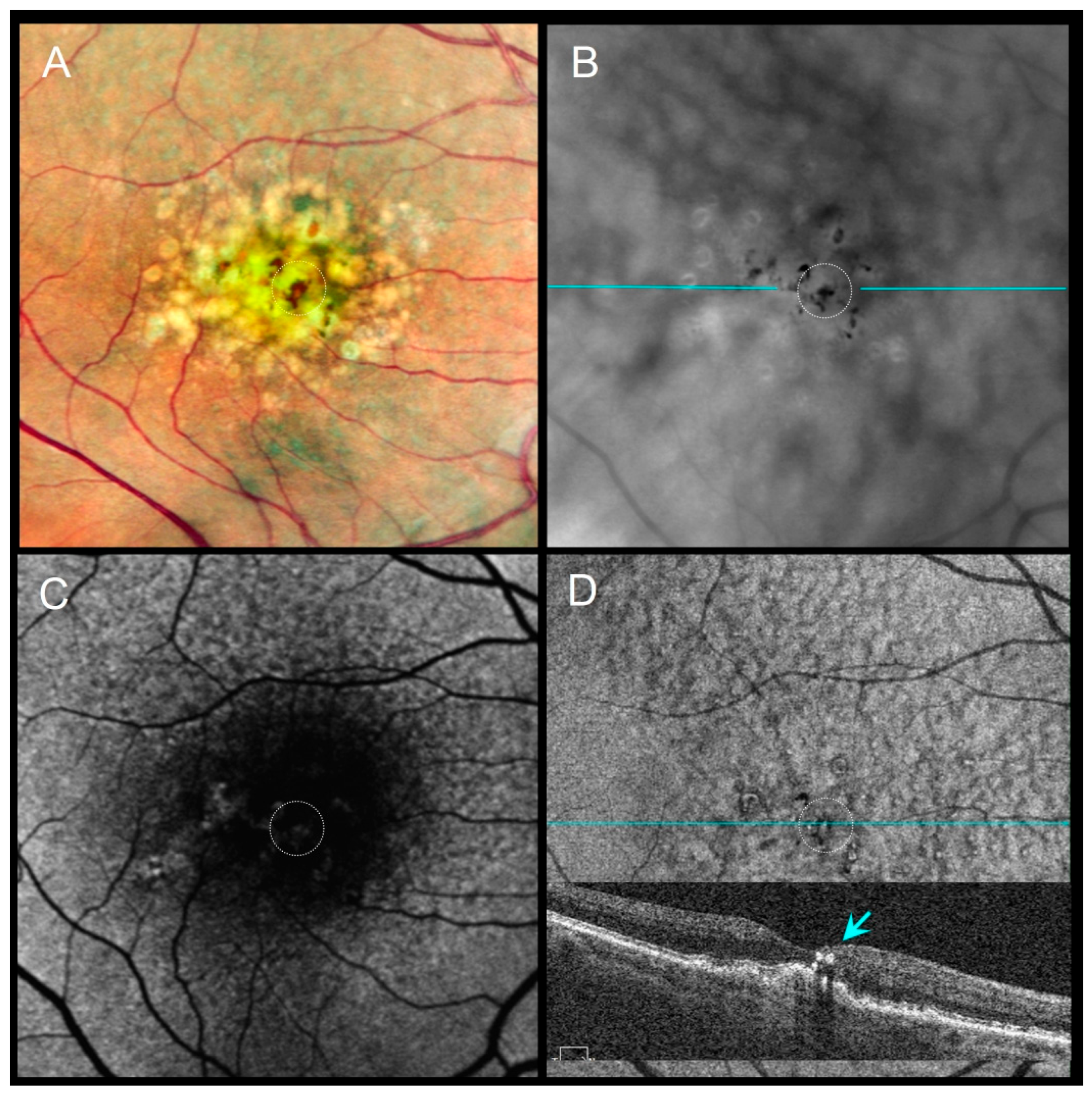 Diagnostics 16 00042 g002 Diagnostics 16 00042 g002