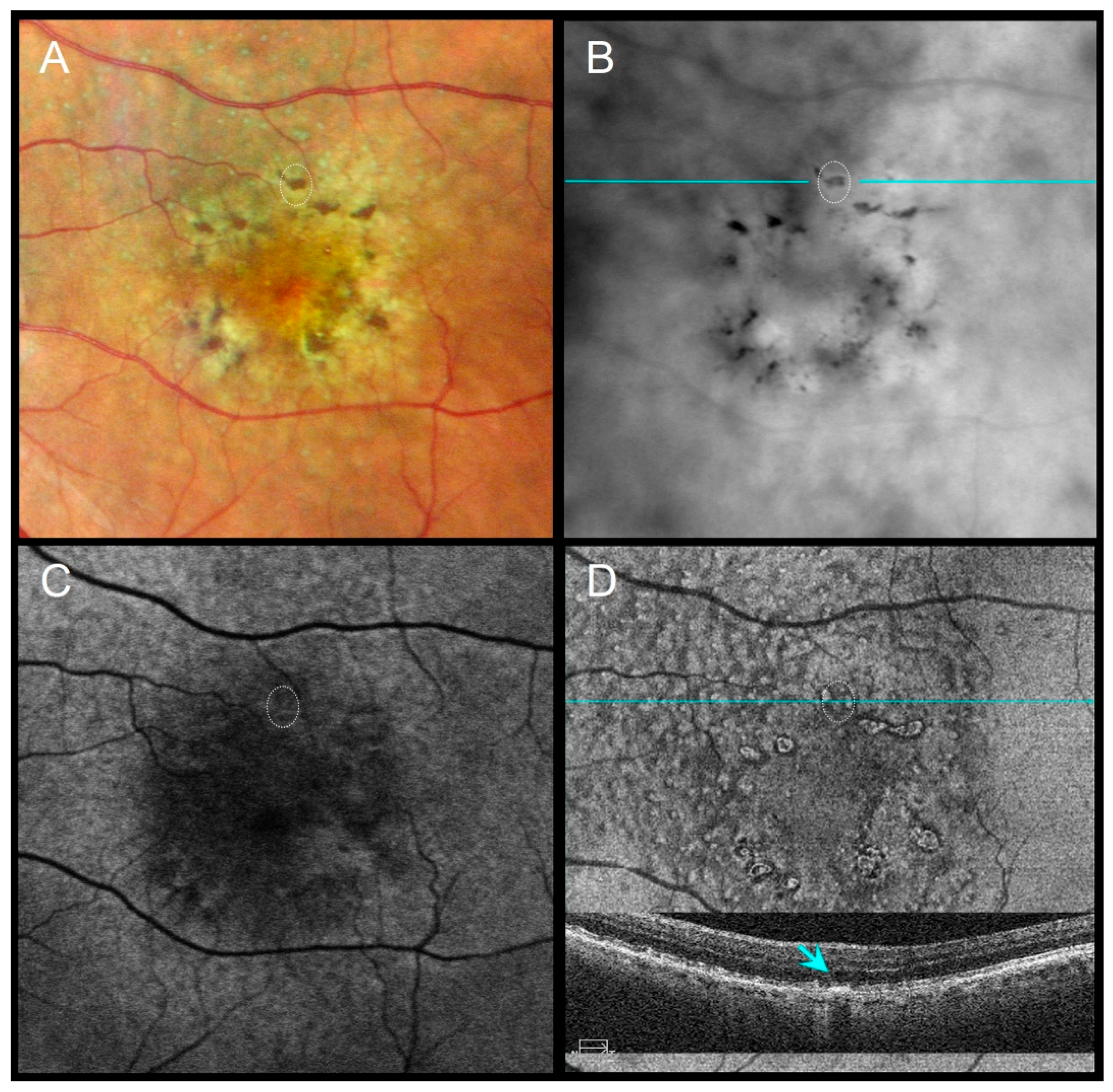 Diagnostics 16 00042 g003 Diagnostics 16 00042 g003