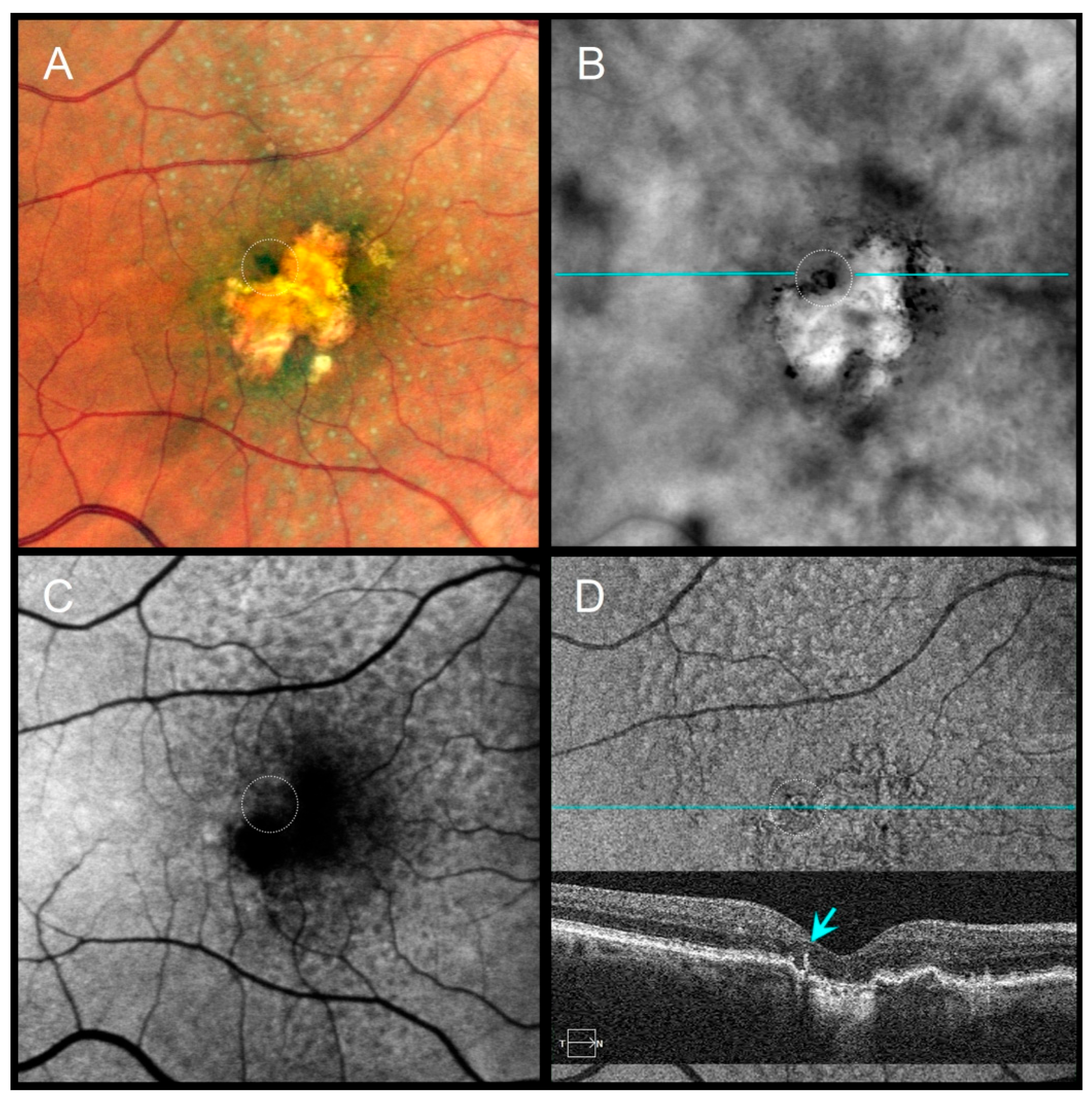 Diagnostics 16 00042 g004 Diagnostics 16 00042 g004