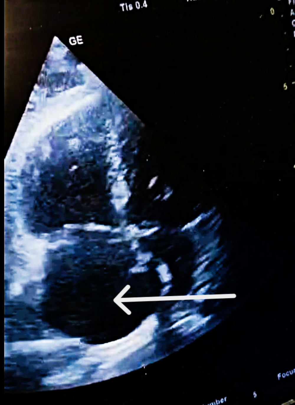 Diagnostics 16 00048 g004