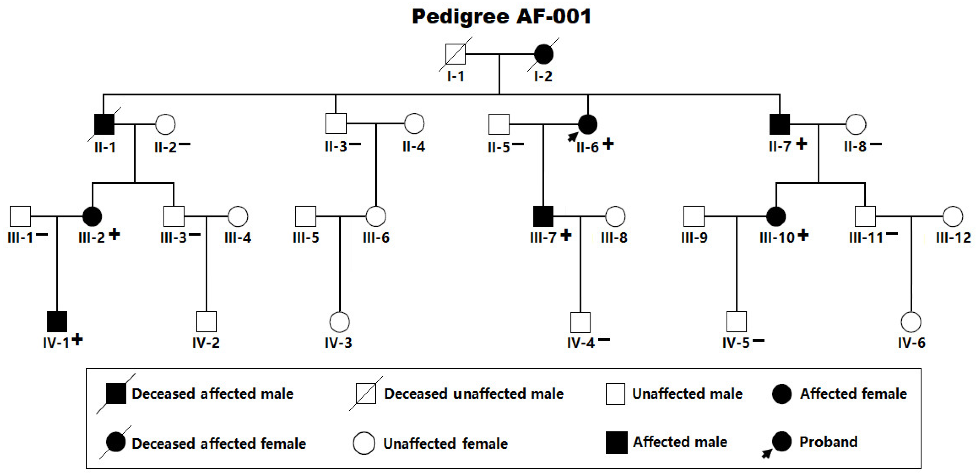 Diagnostics 16 00059 g001 Diagnostics 16 00059 g001