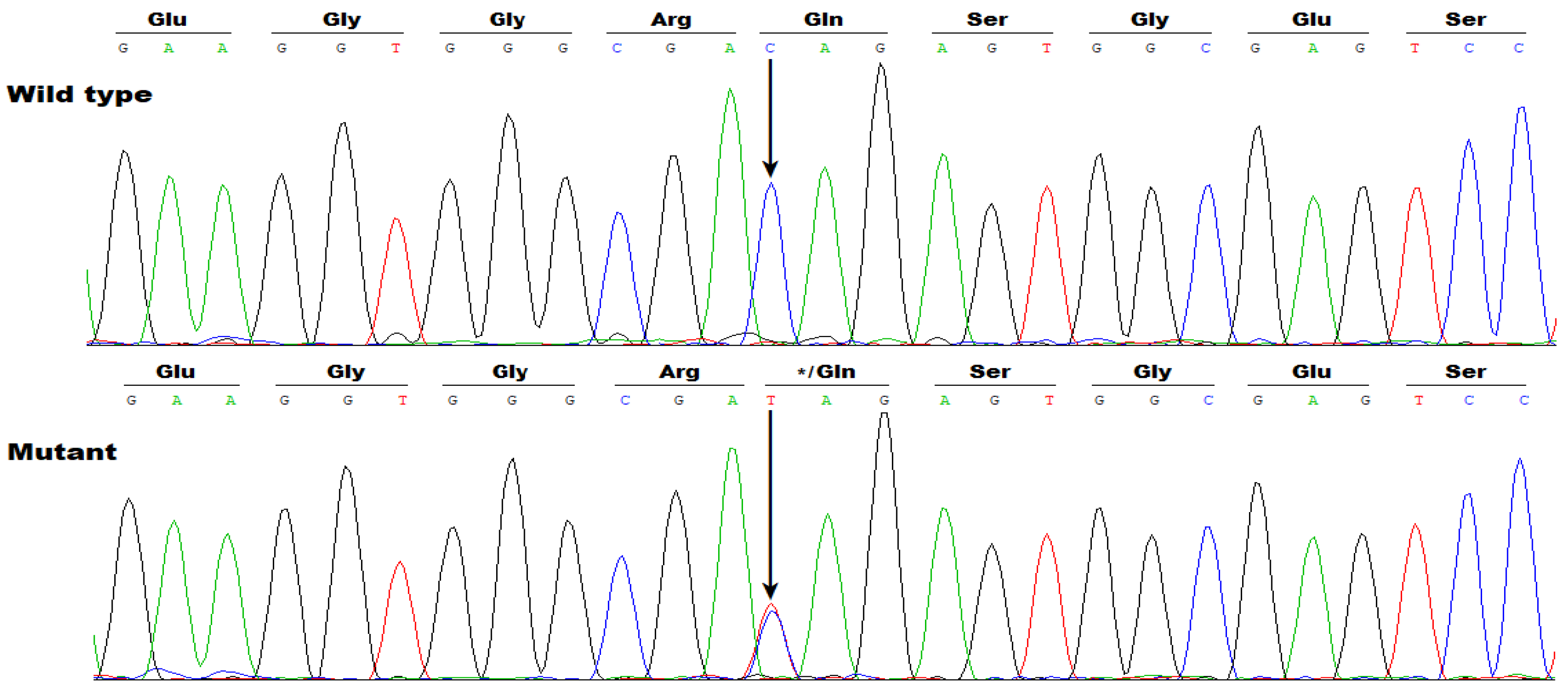 Diagnostics 16 00059 g003 Diagnostics 16 00059 g003