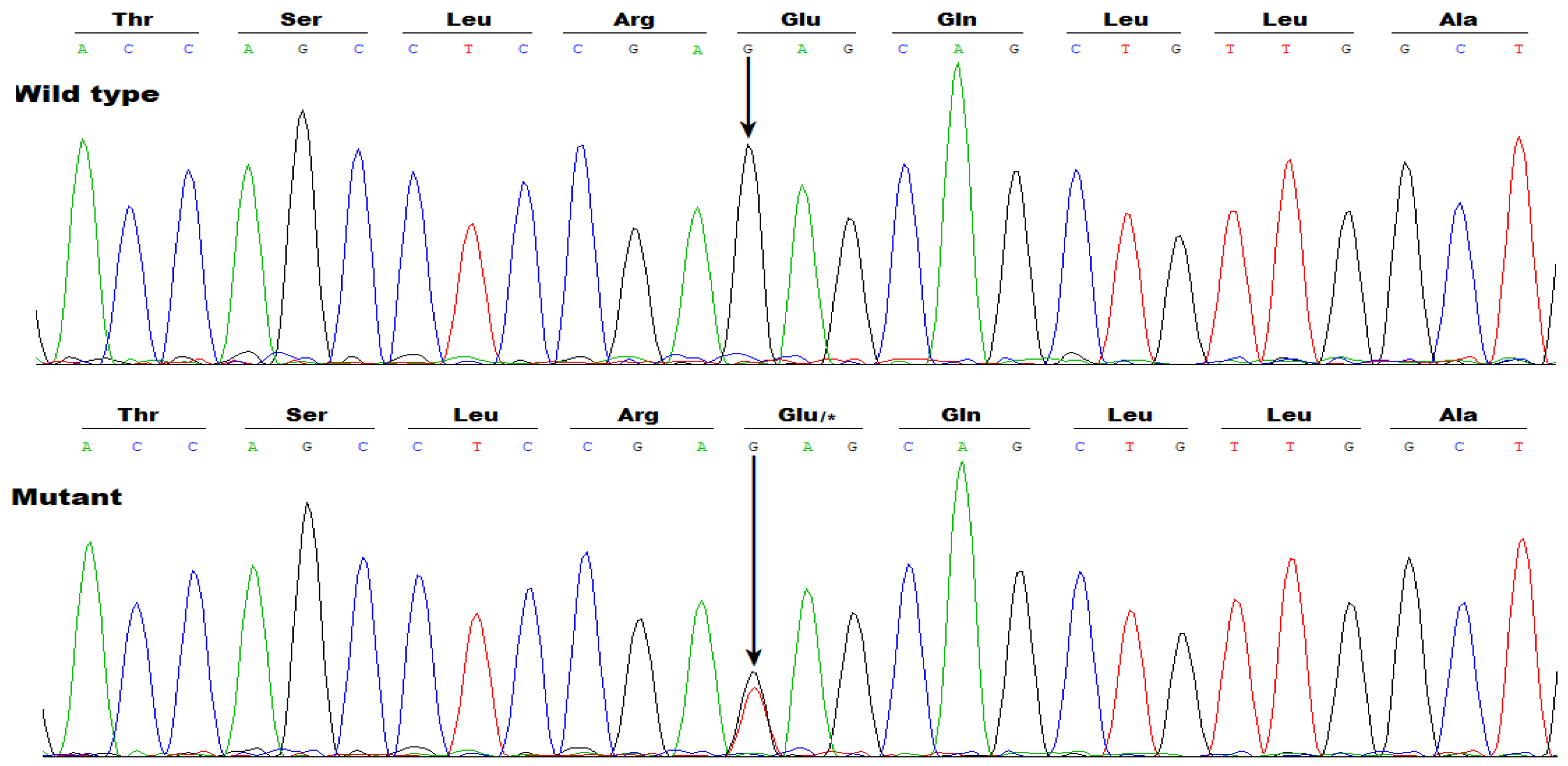 Diagnostics 16 00059 g004 Diagnostics 16 00059 g004