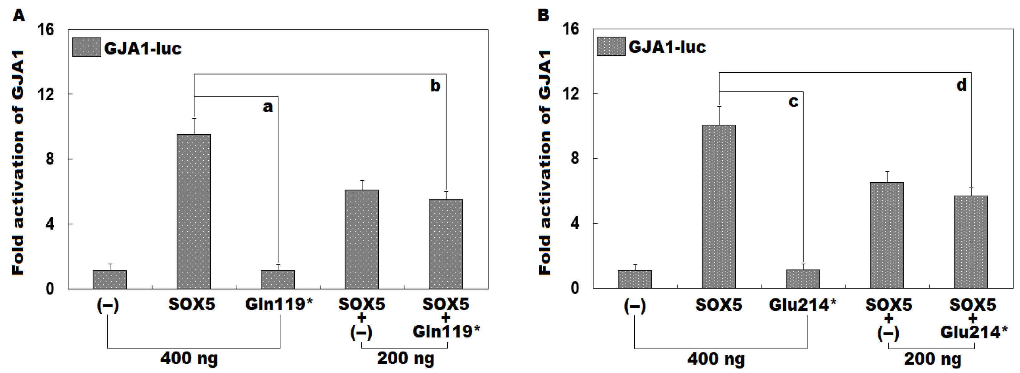 Diagnostics 16 00059 g006 Diagnostics 16 00059 g006