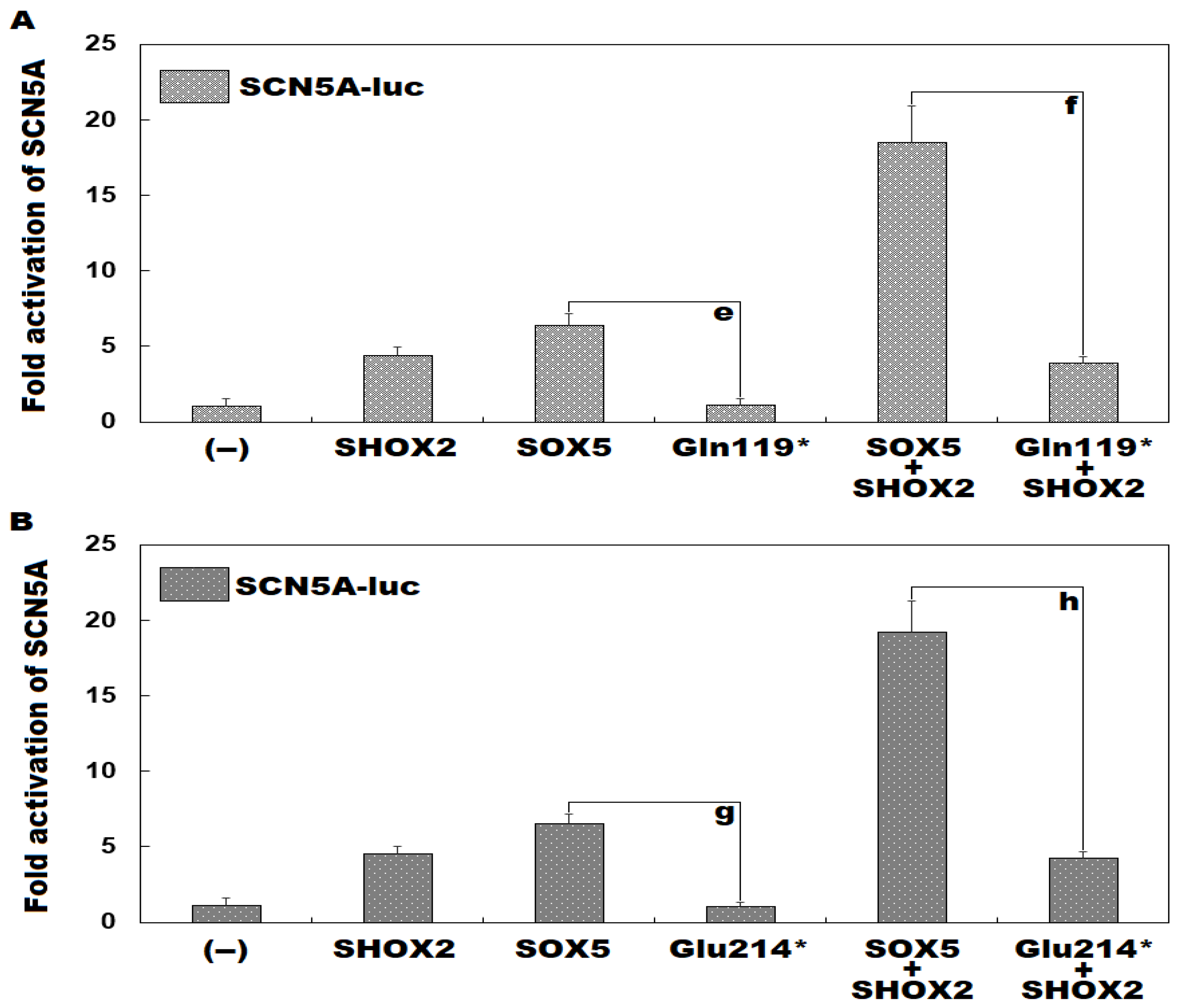 Diagnostics 16 00059 g007 Diagnostics 16 00059 g007
