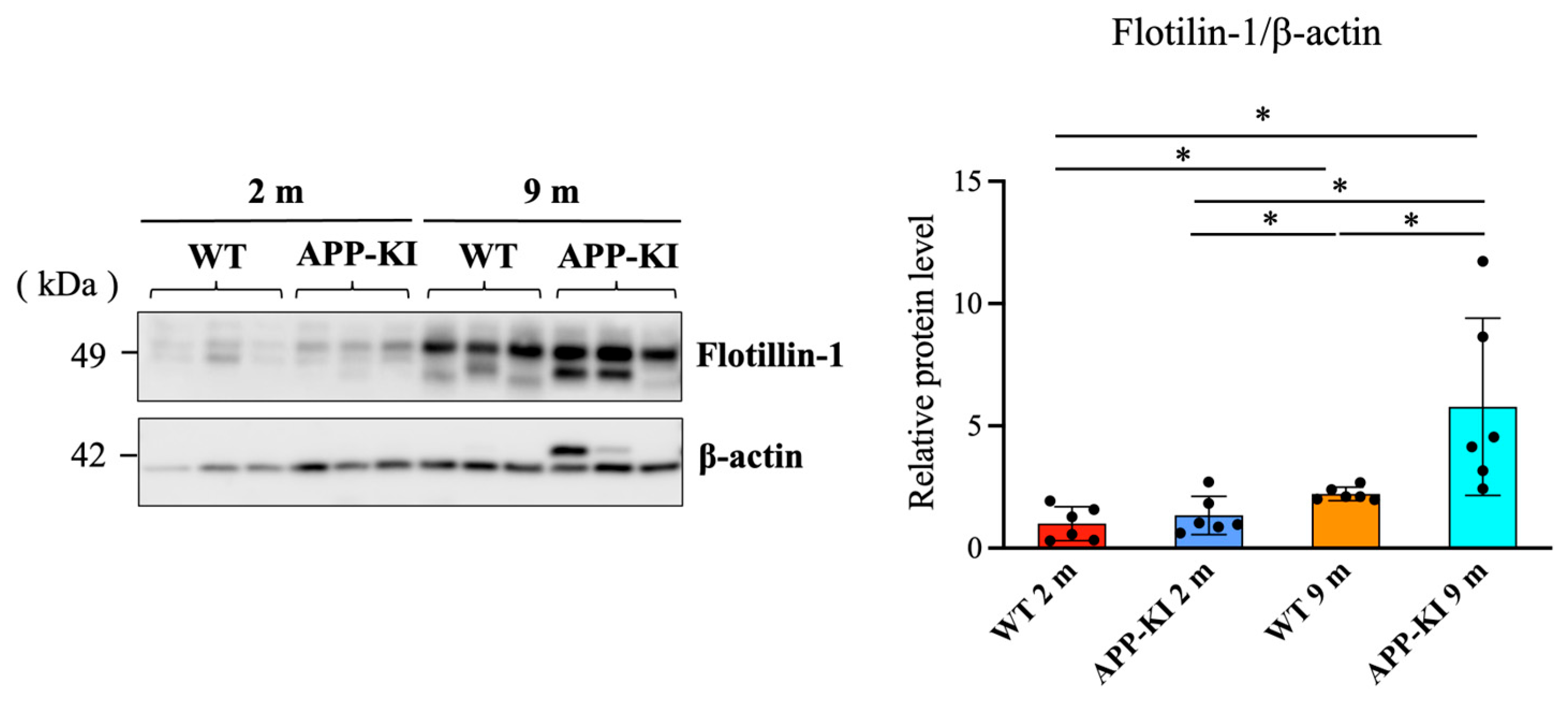 Diagnostics 16 00061 g002