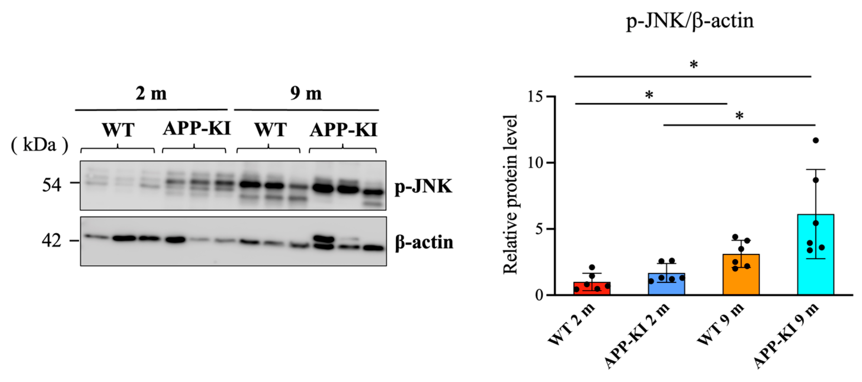 Diagnostics 16 00061 g003