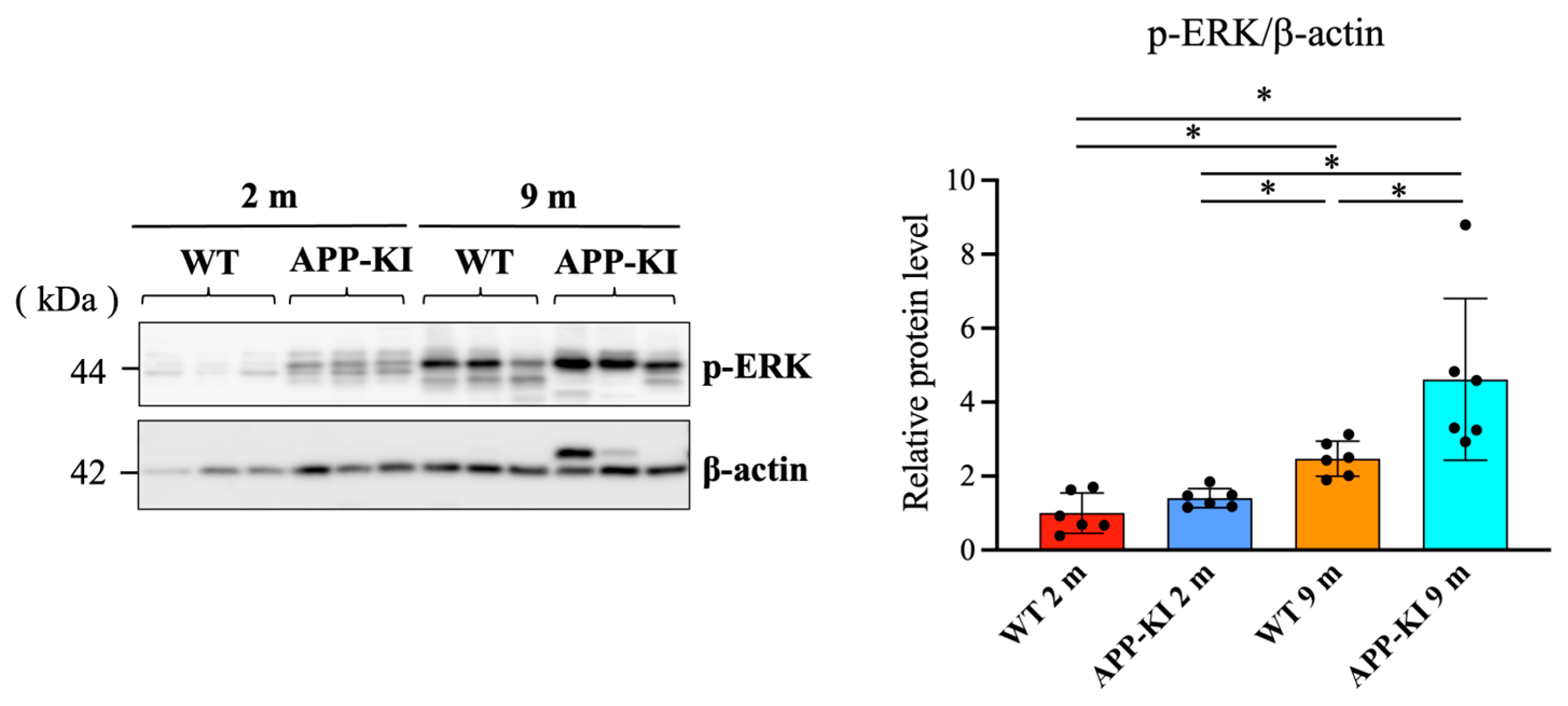 Diagnostics 16 00061 g004