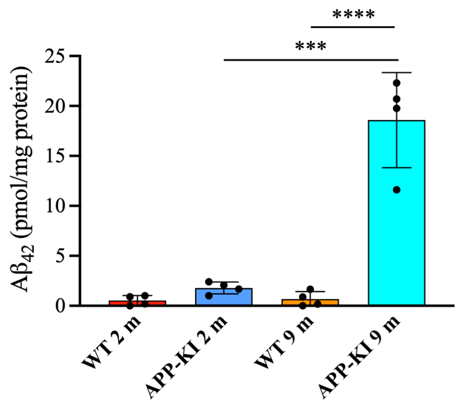 Diagnostics 16 00061 g005