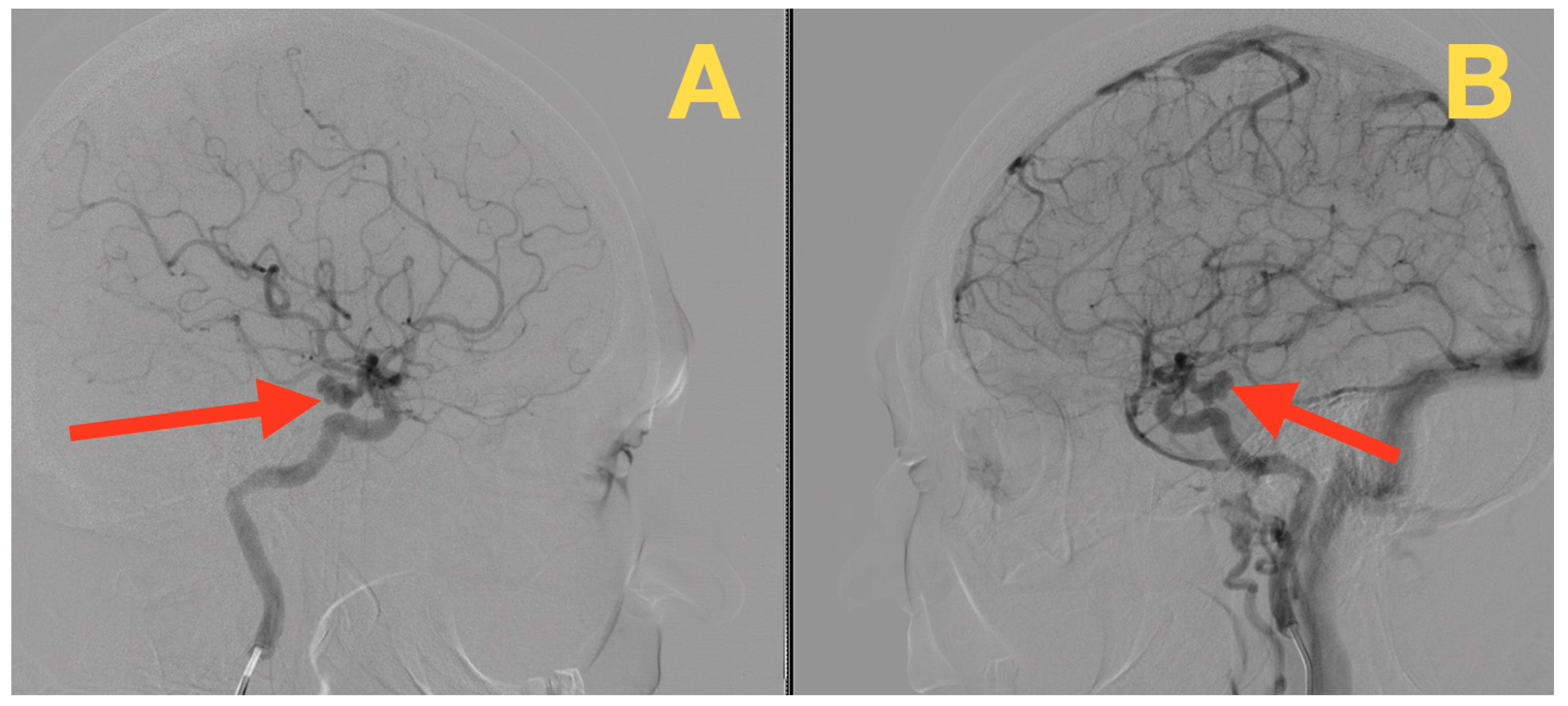 Diagnostics 16 00073 g001