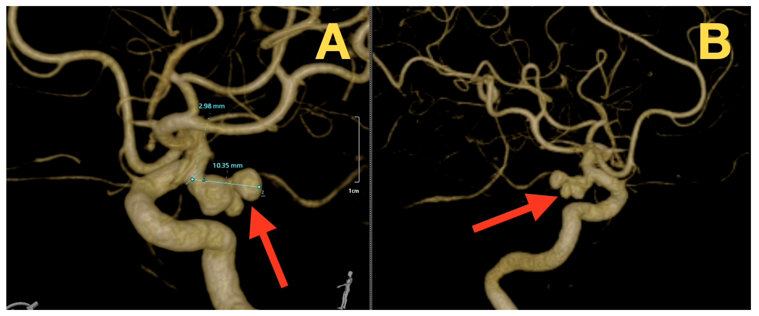 Diagnostics 16 00073 g002