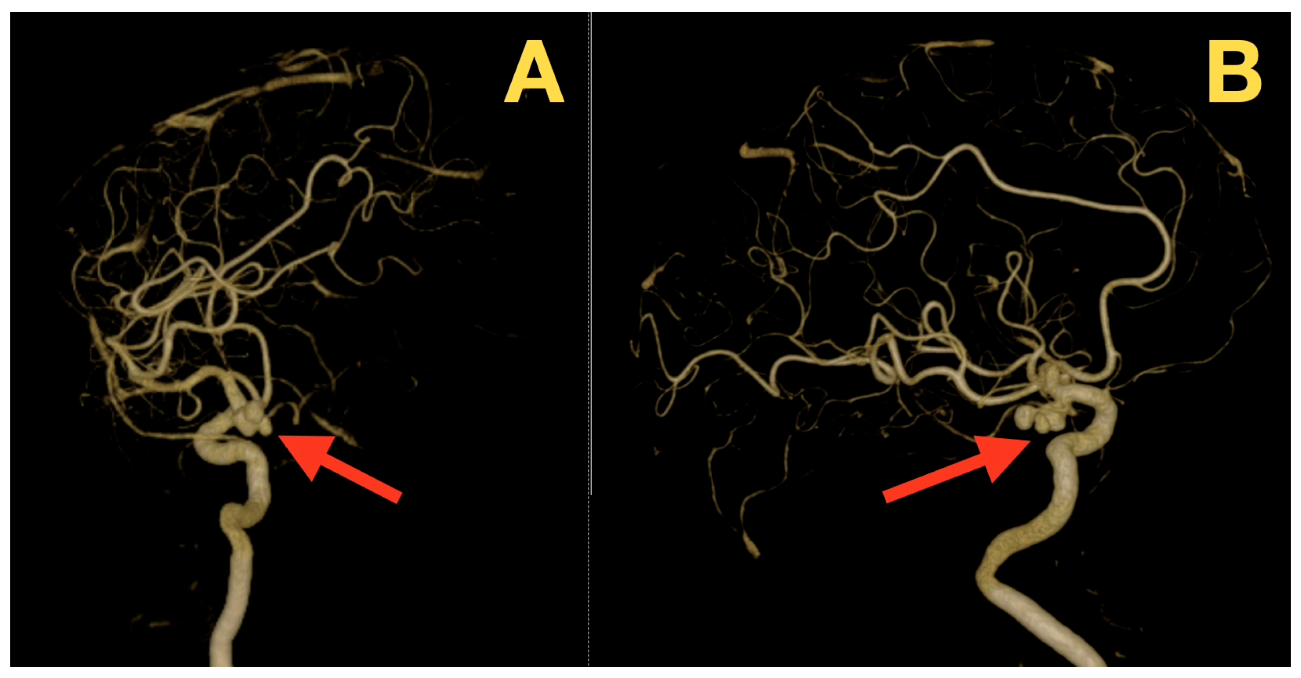 Diagnostics 16 00073 g003