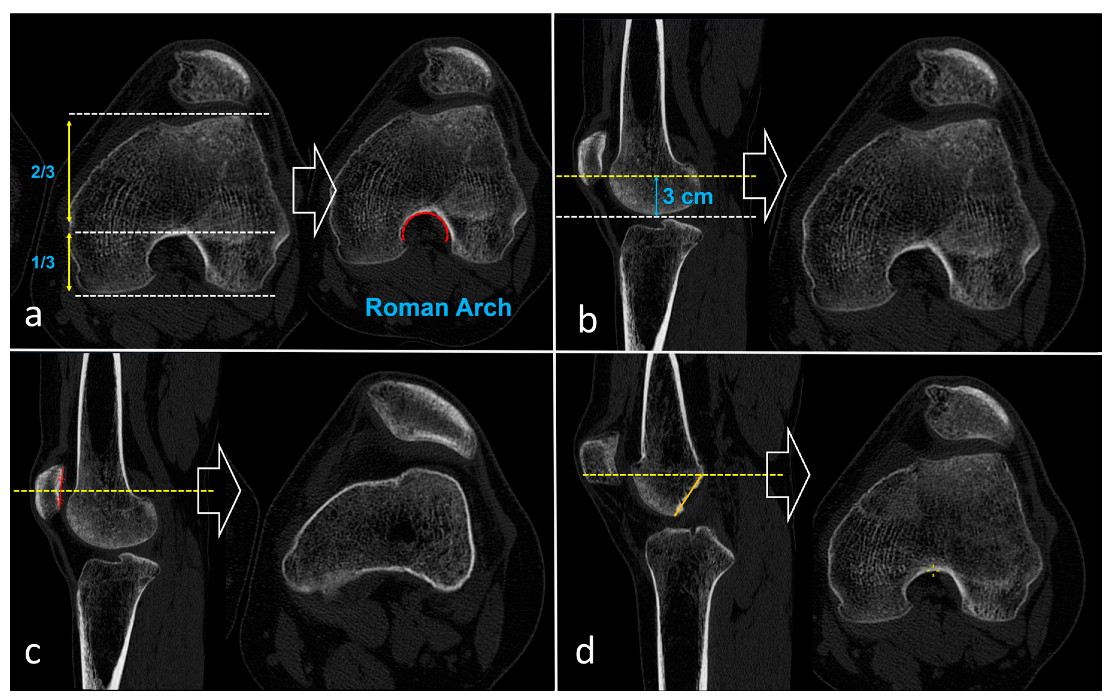 Diagnostics 16 00077 g001