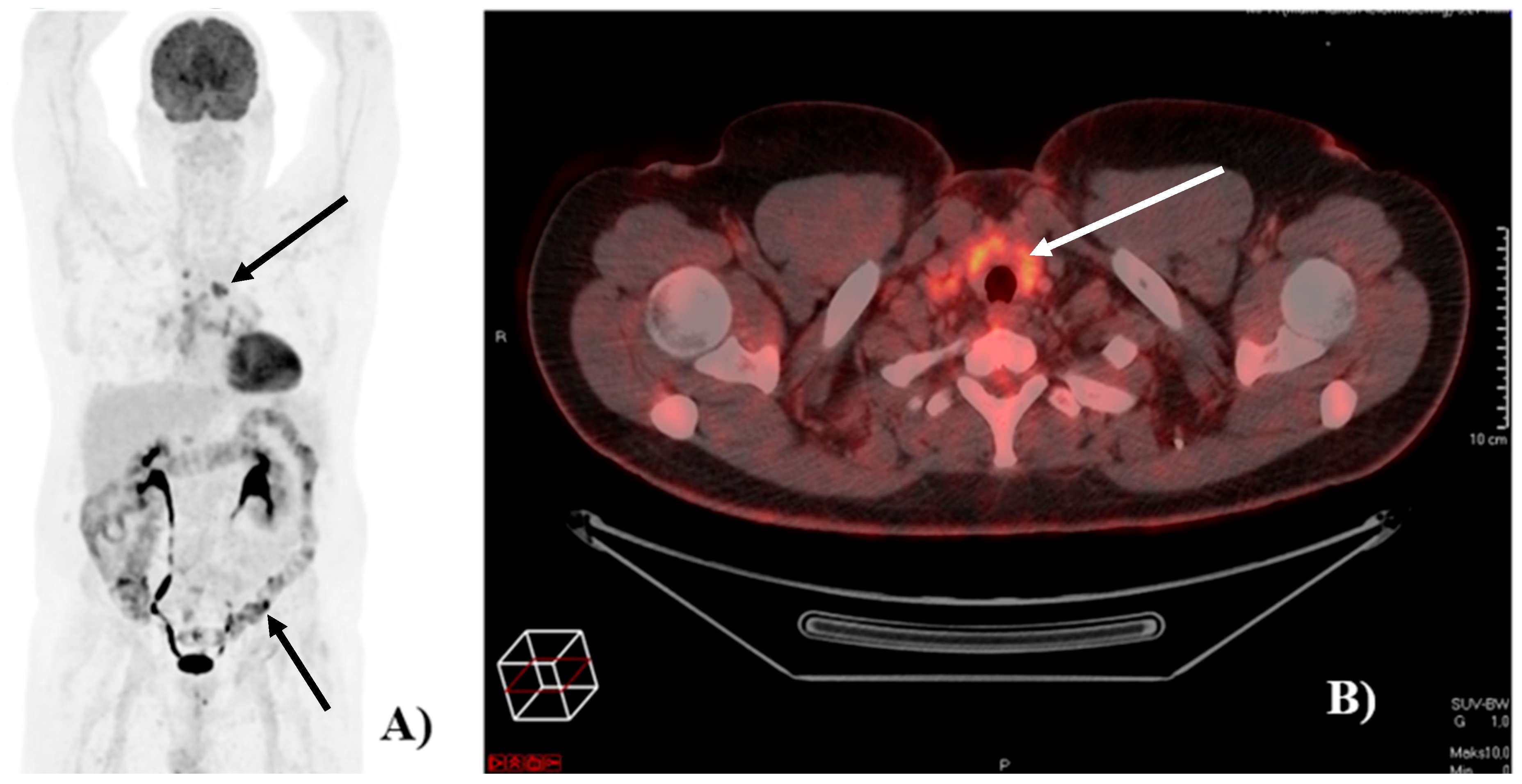 Diagnostics 16 00079 g001