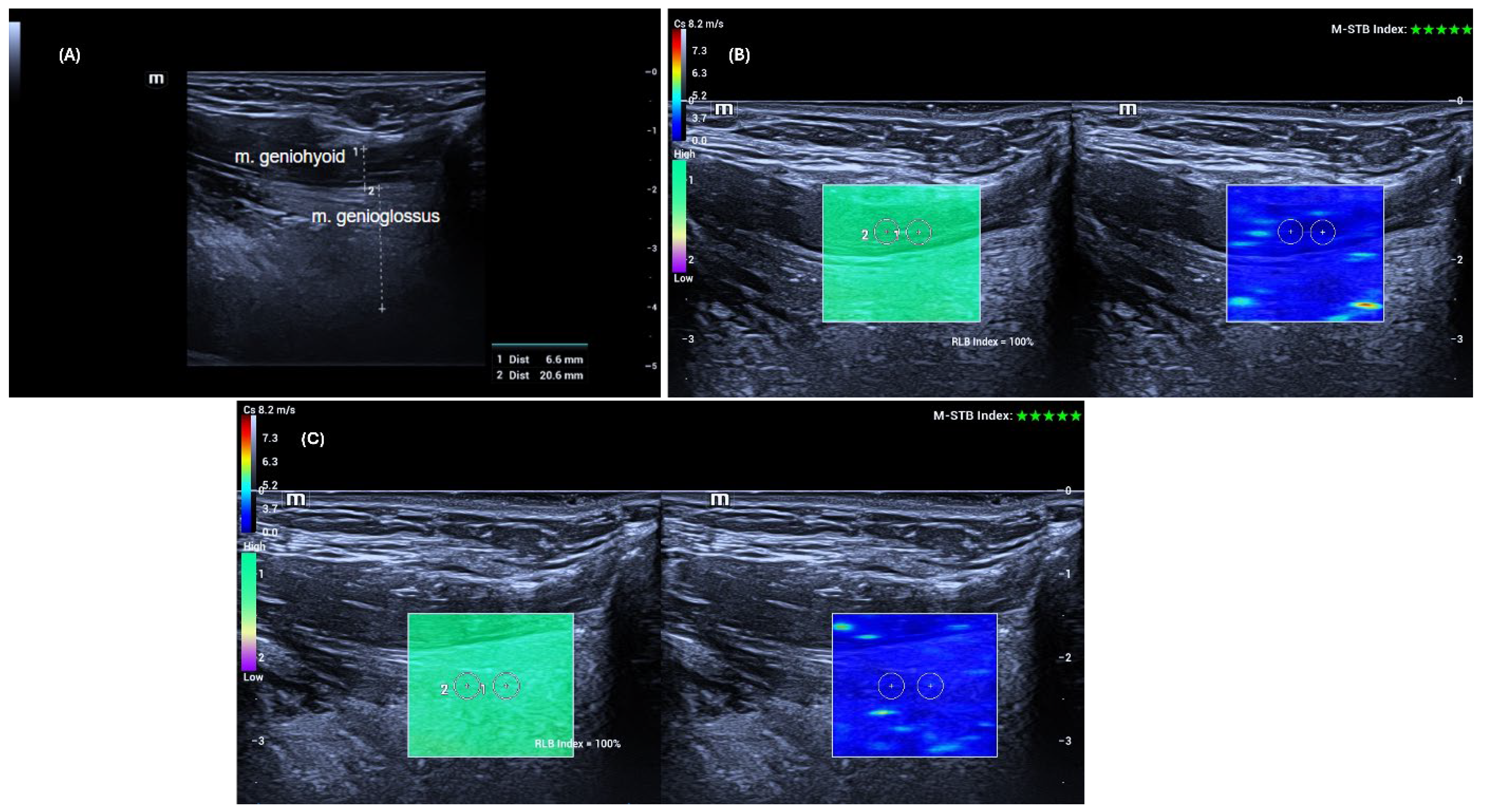Diagnostics 16 00087 g001