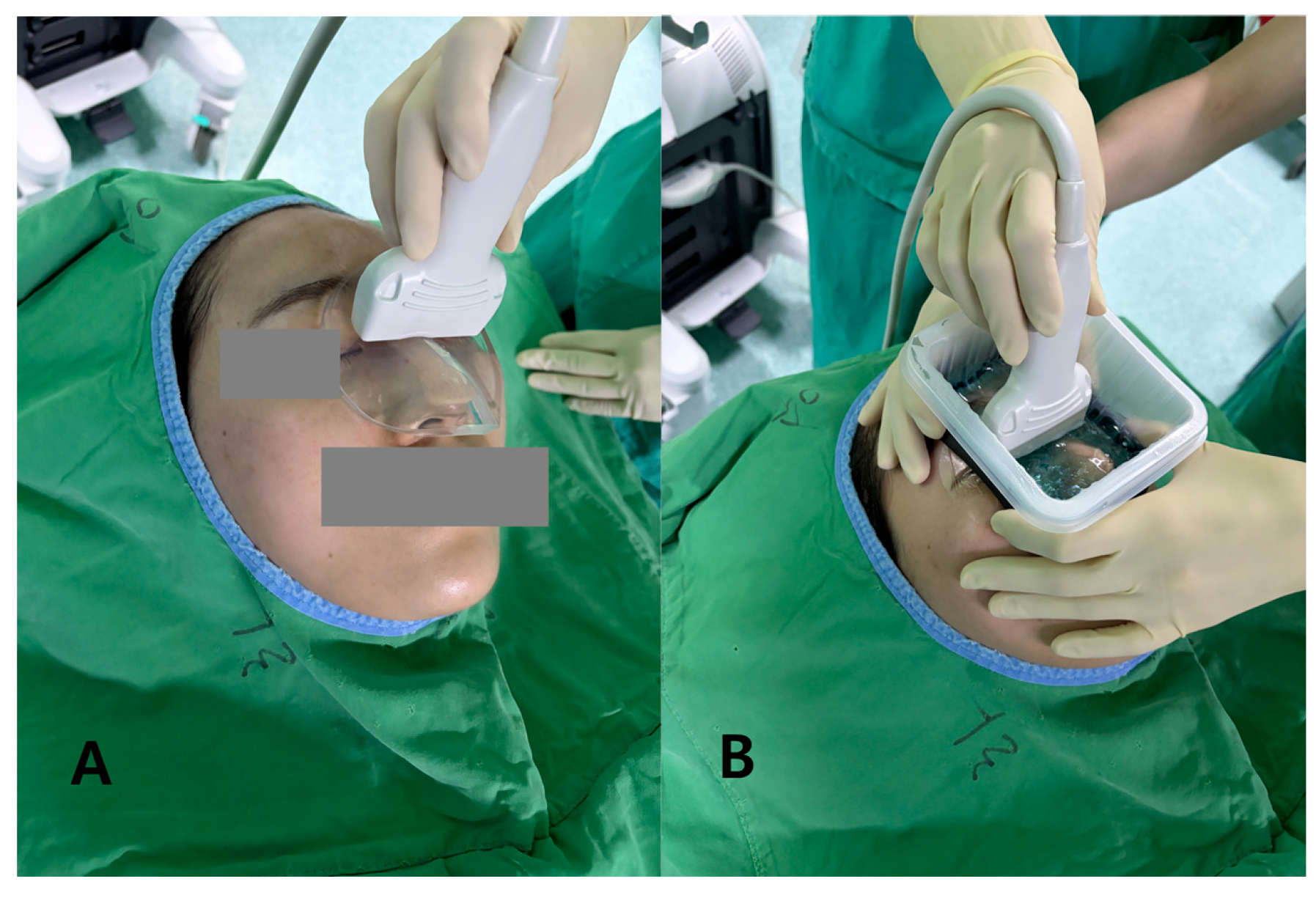 Diagnostics 16 00092 g001