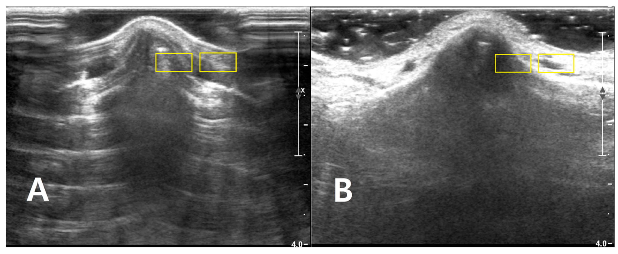 Diagnostics 16 00092 g002