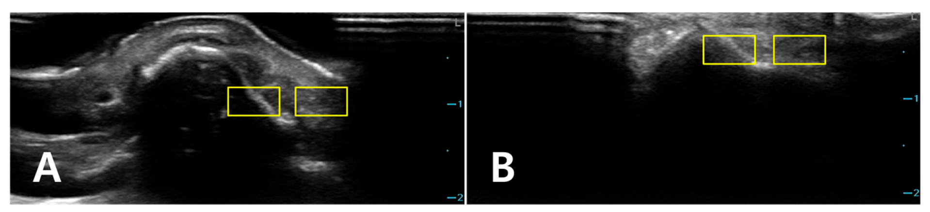 Diagnostics 16 00092 g003
