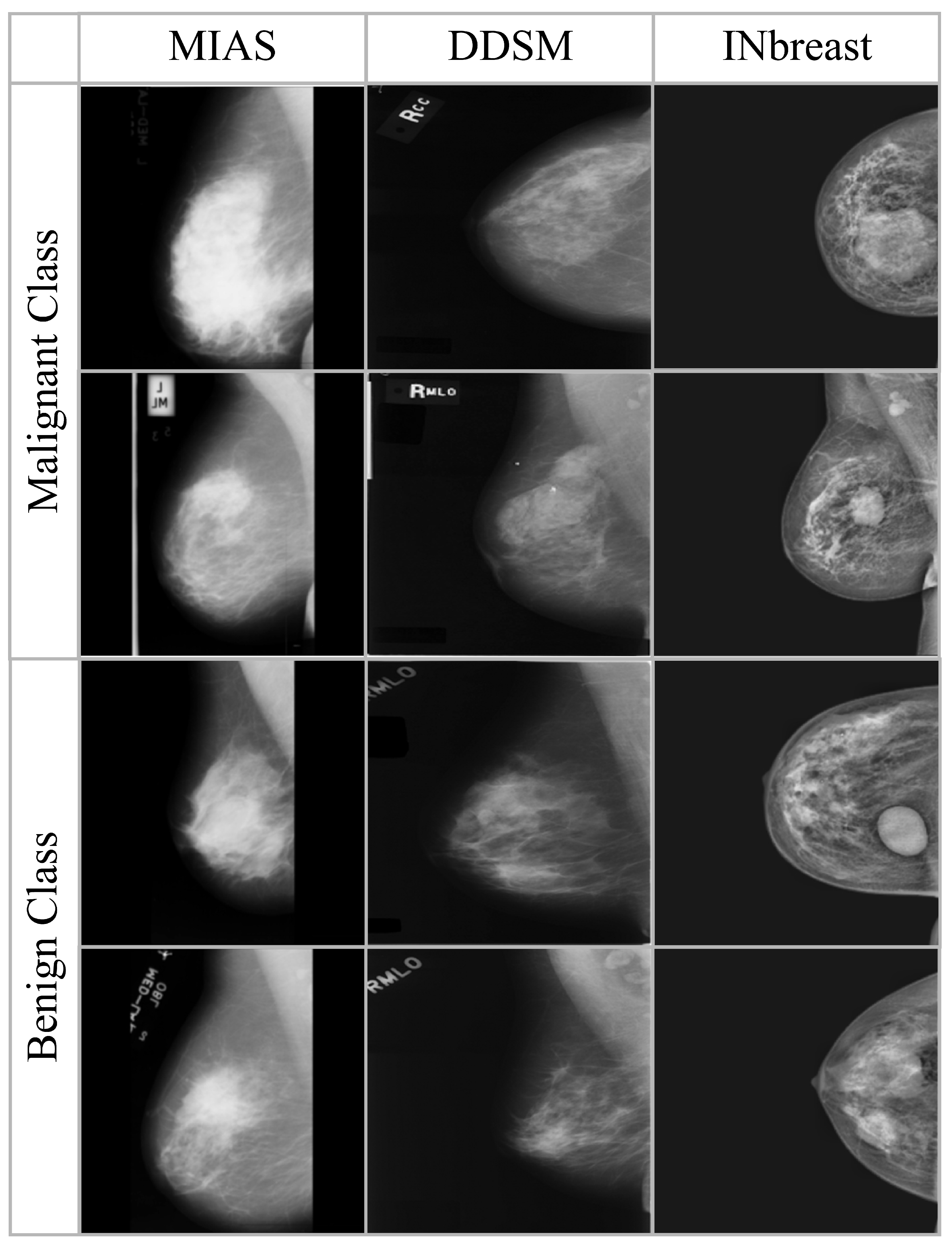 Diagnostics 16 00105 g002