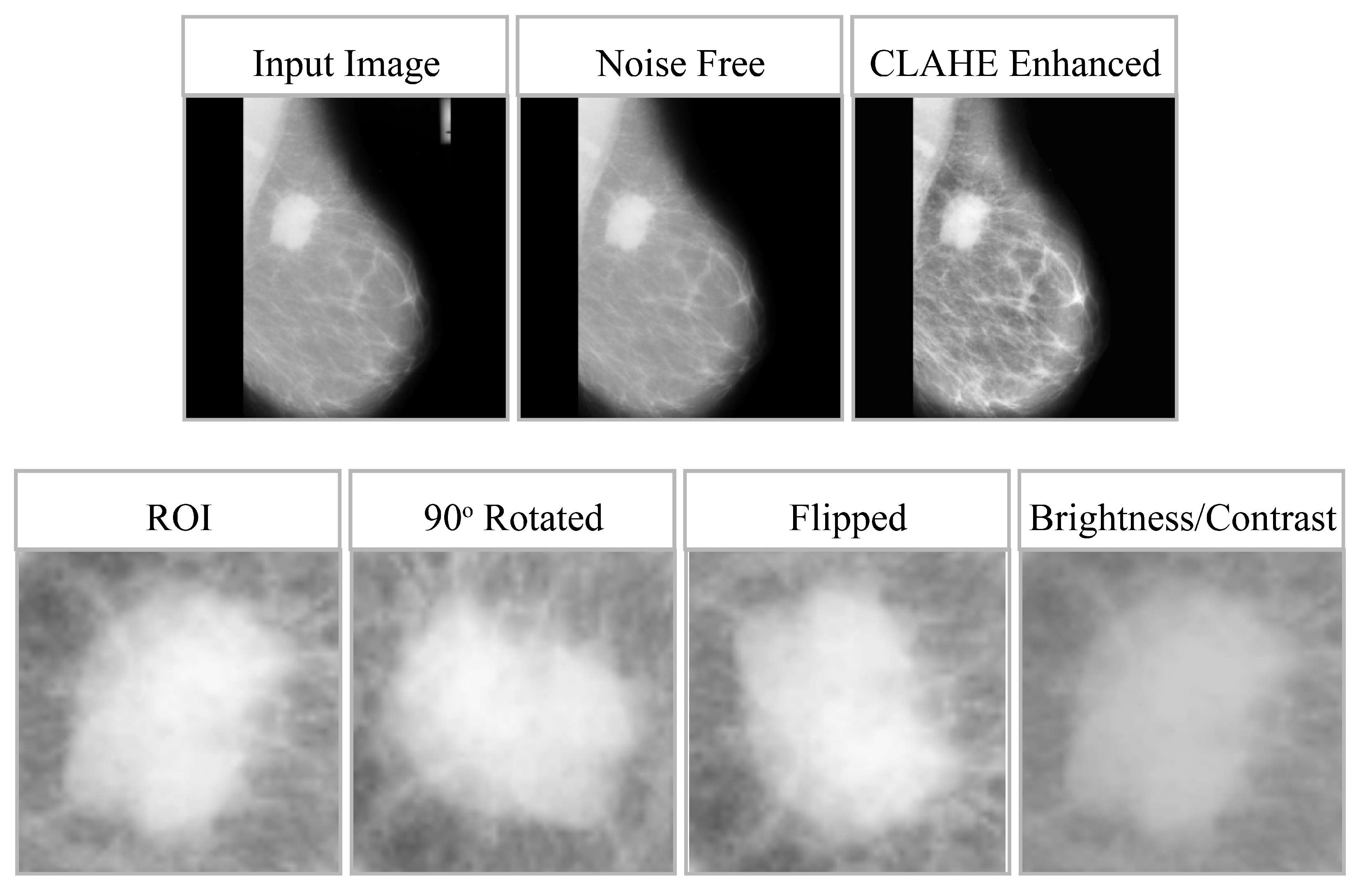 Diagnostics 16 00105 g003