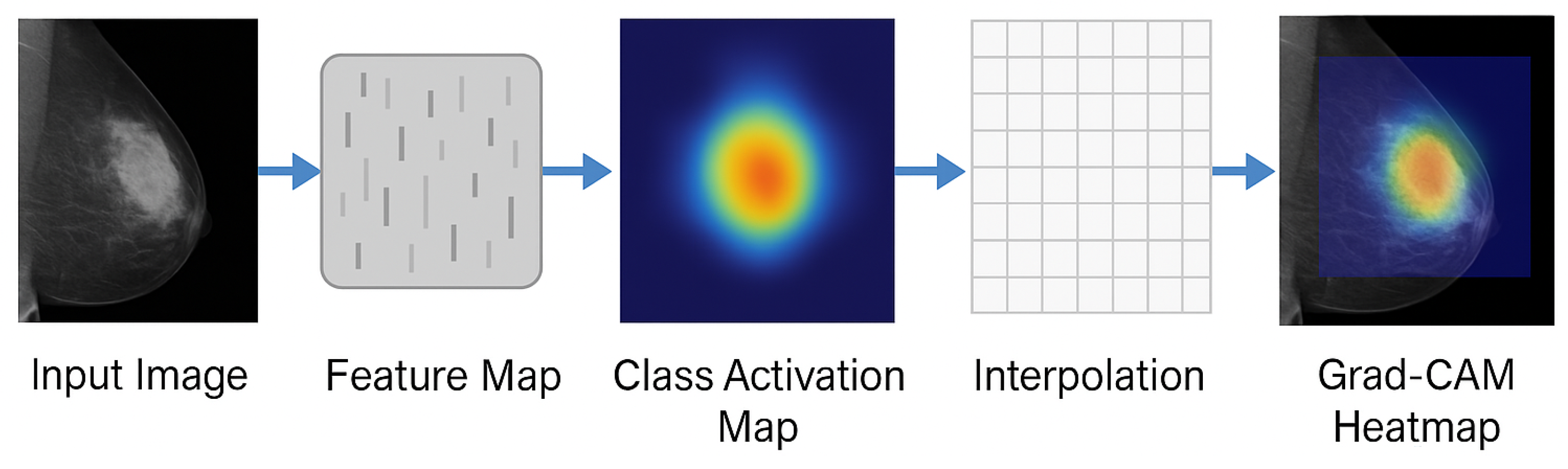 Diagnostics 16 00105 g004